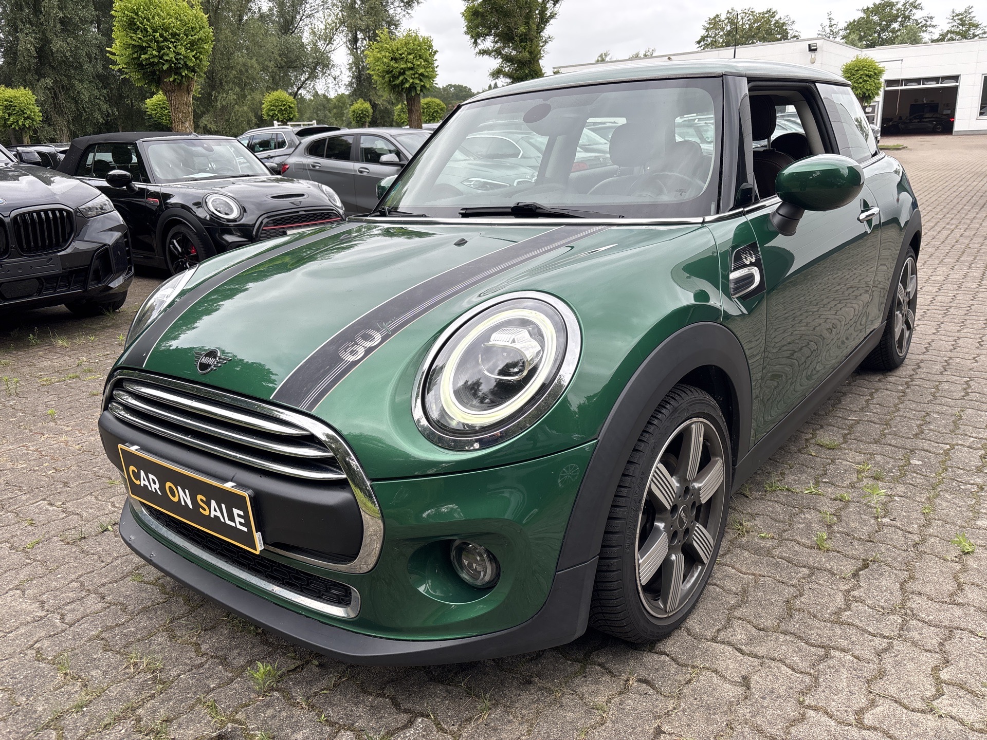 MINI 3-trg