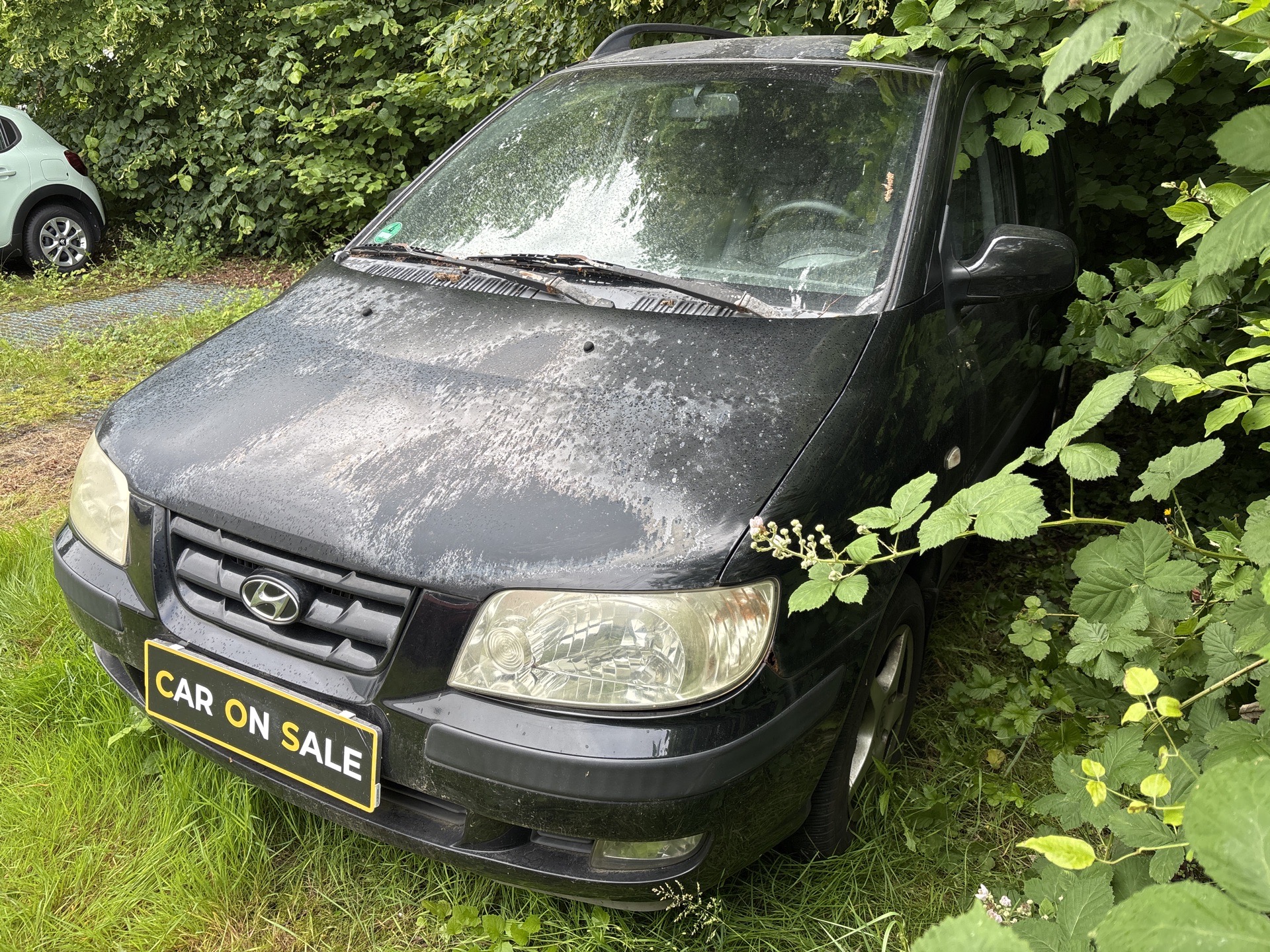 Hyundai Matrix