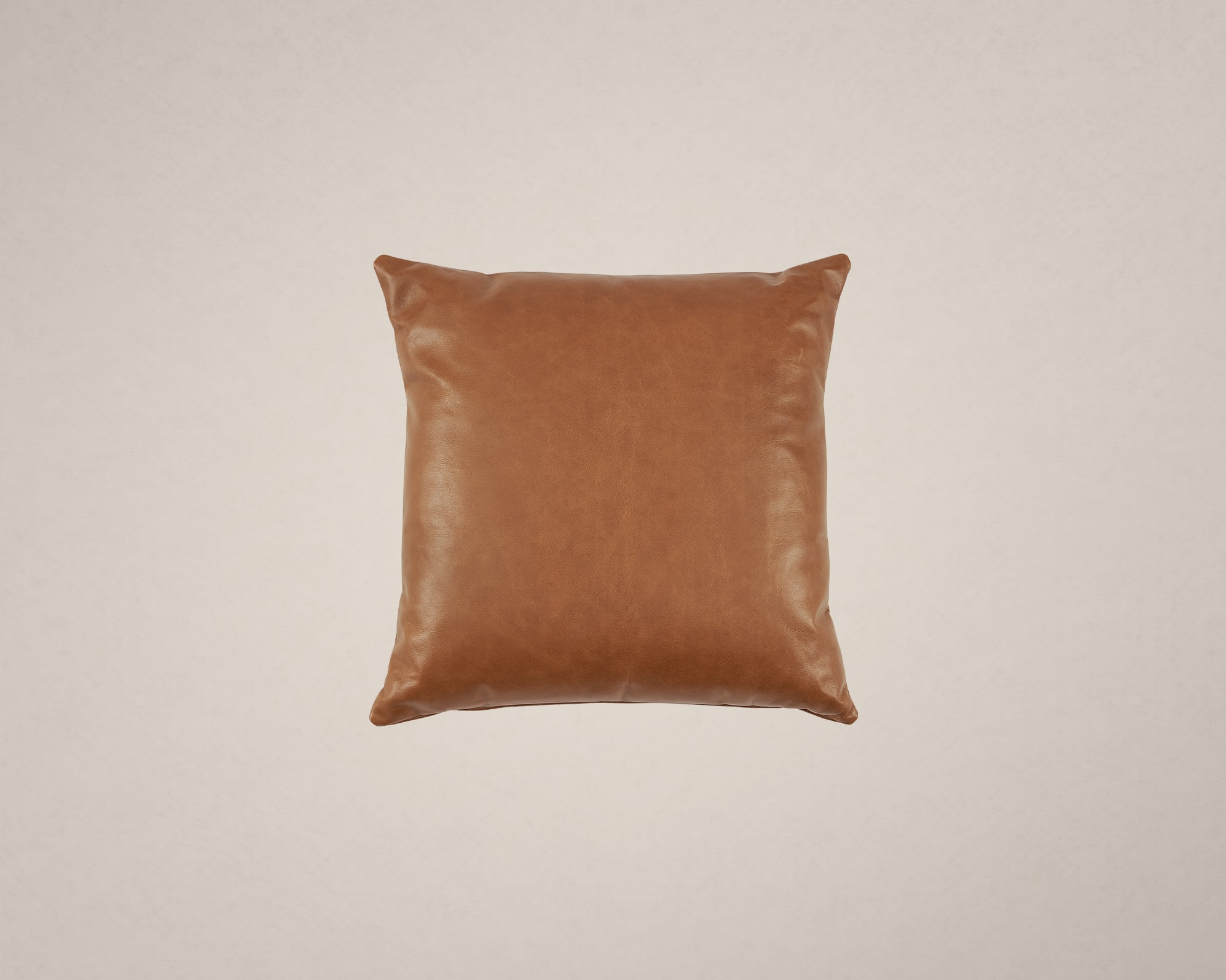 Orion Leather Throw Pillow 1