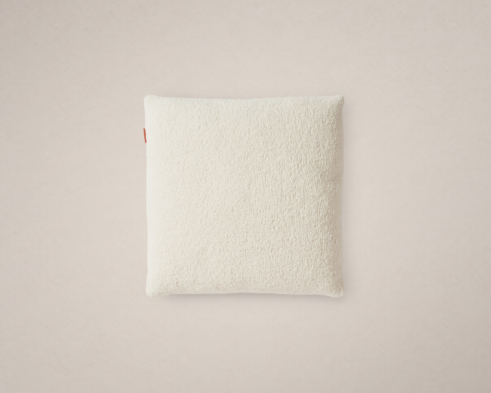 Teddy Cushion 0
