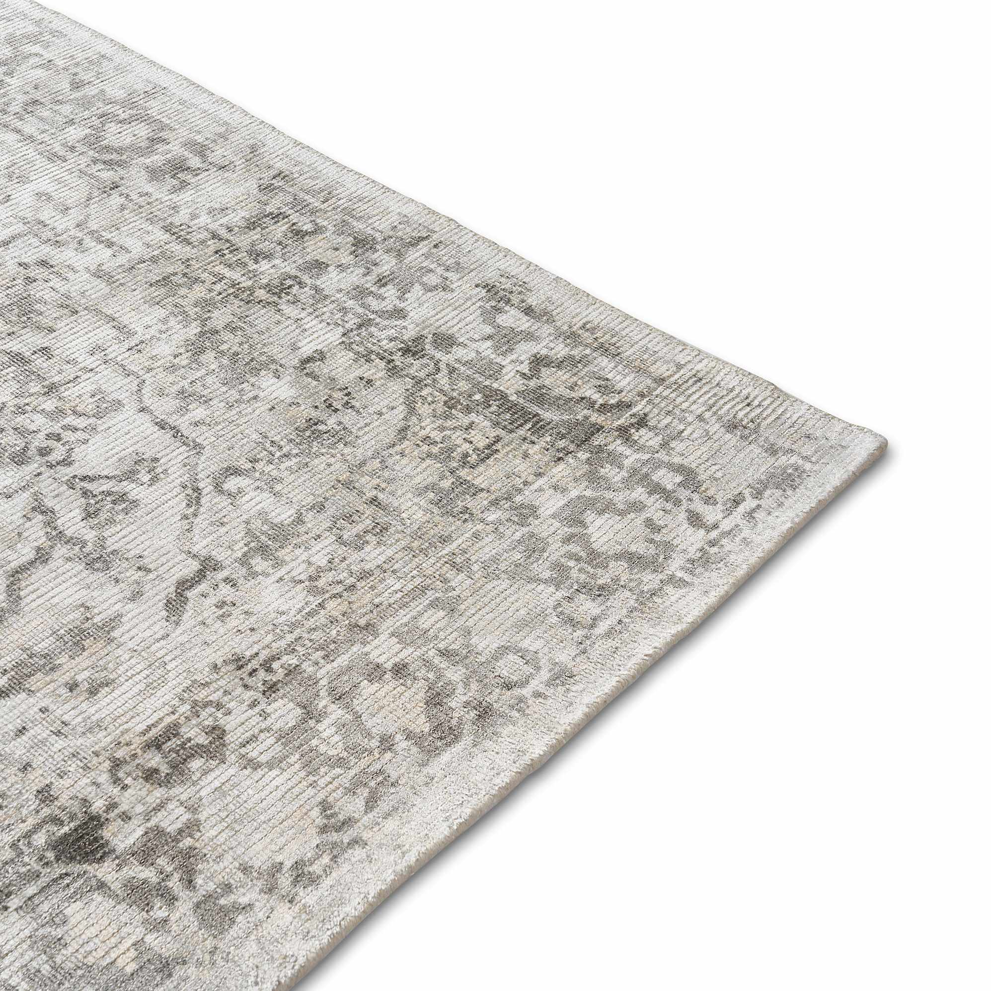 Gaius Area Rug 2