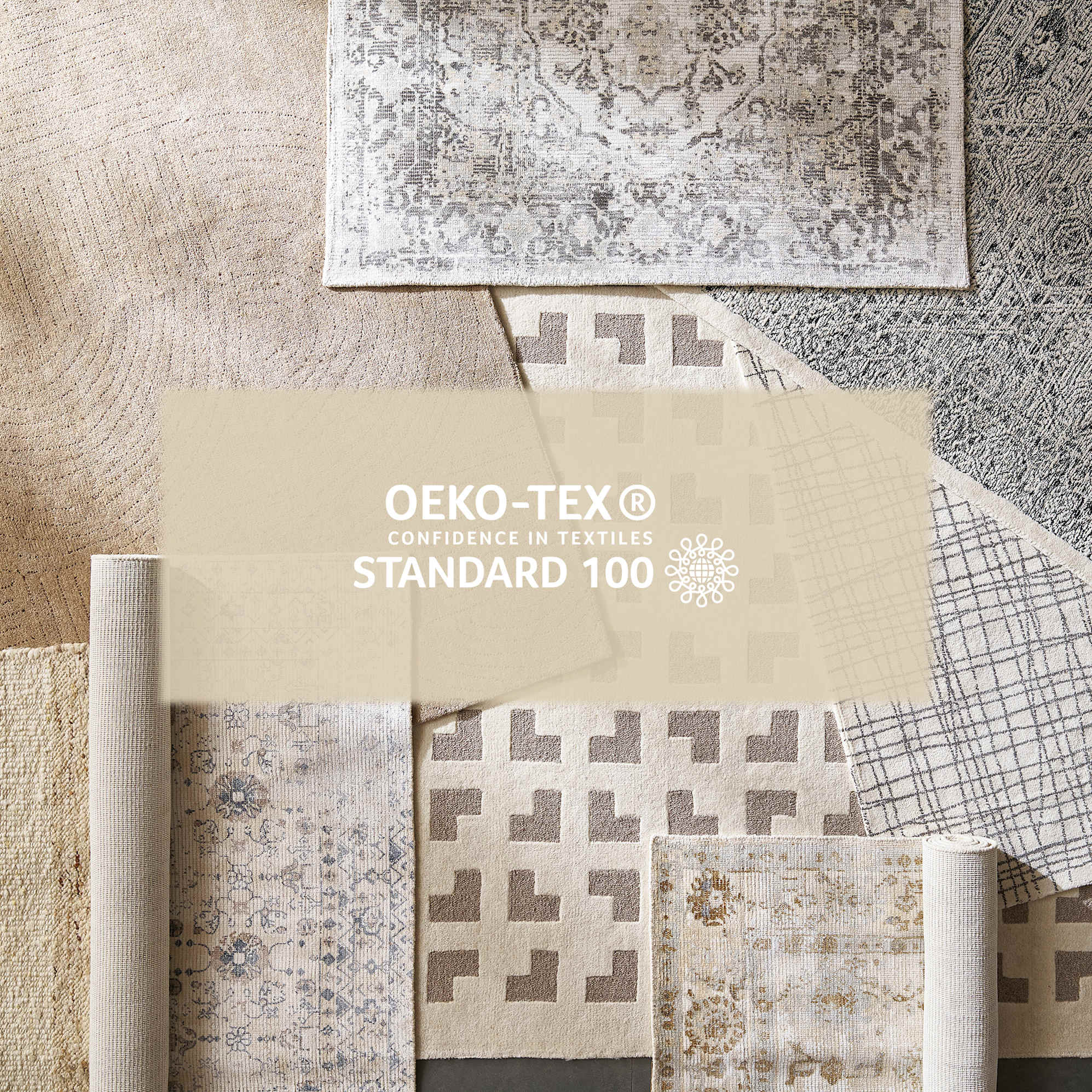 Gaius Area Rug 4