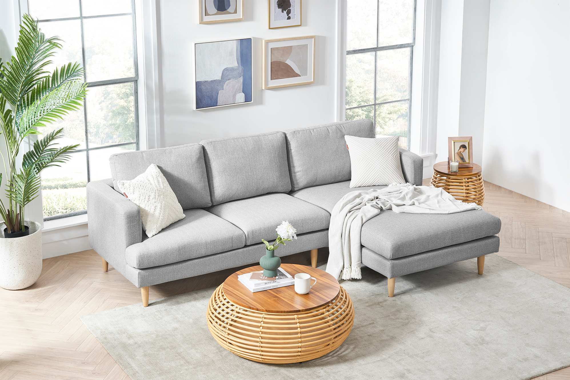 Tana Chaise Sectional Sofa 3