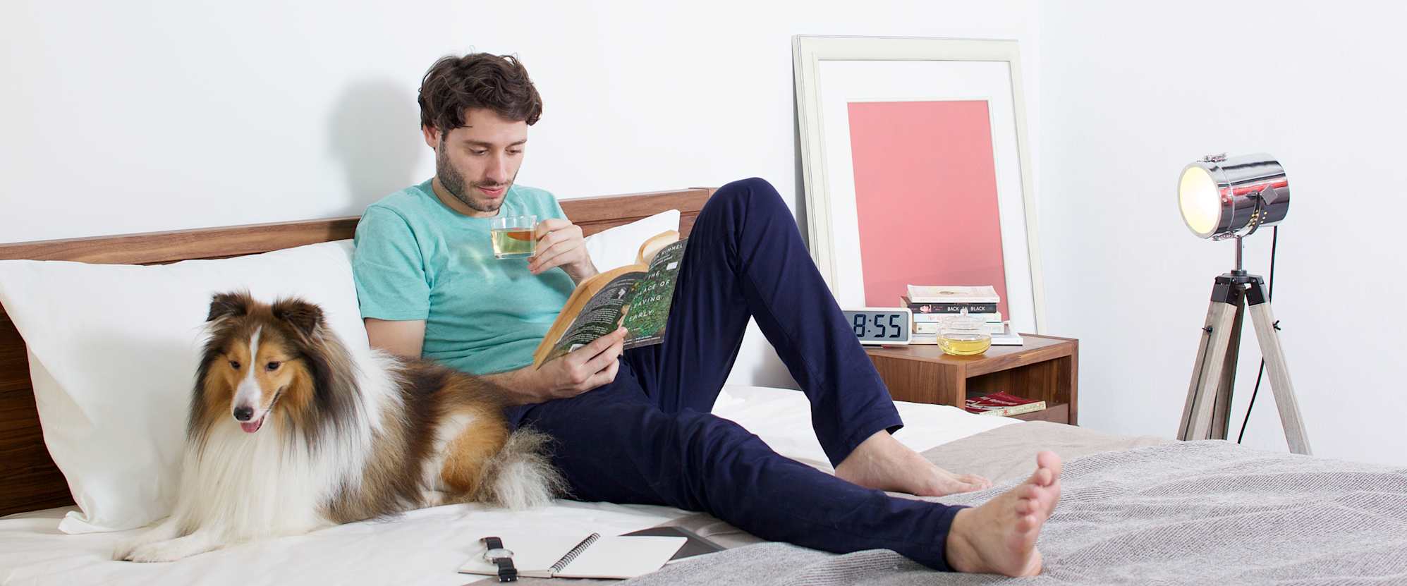 Cornell Mattress, Double Pocket Spring 1