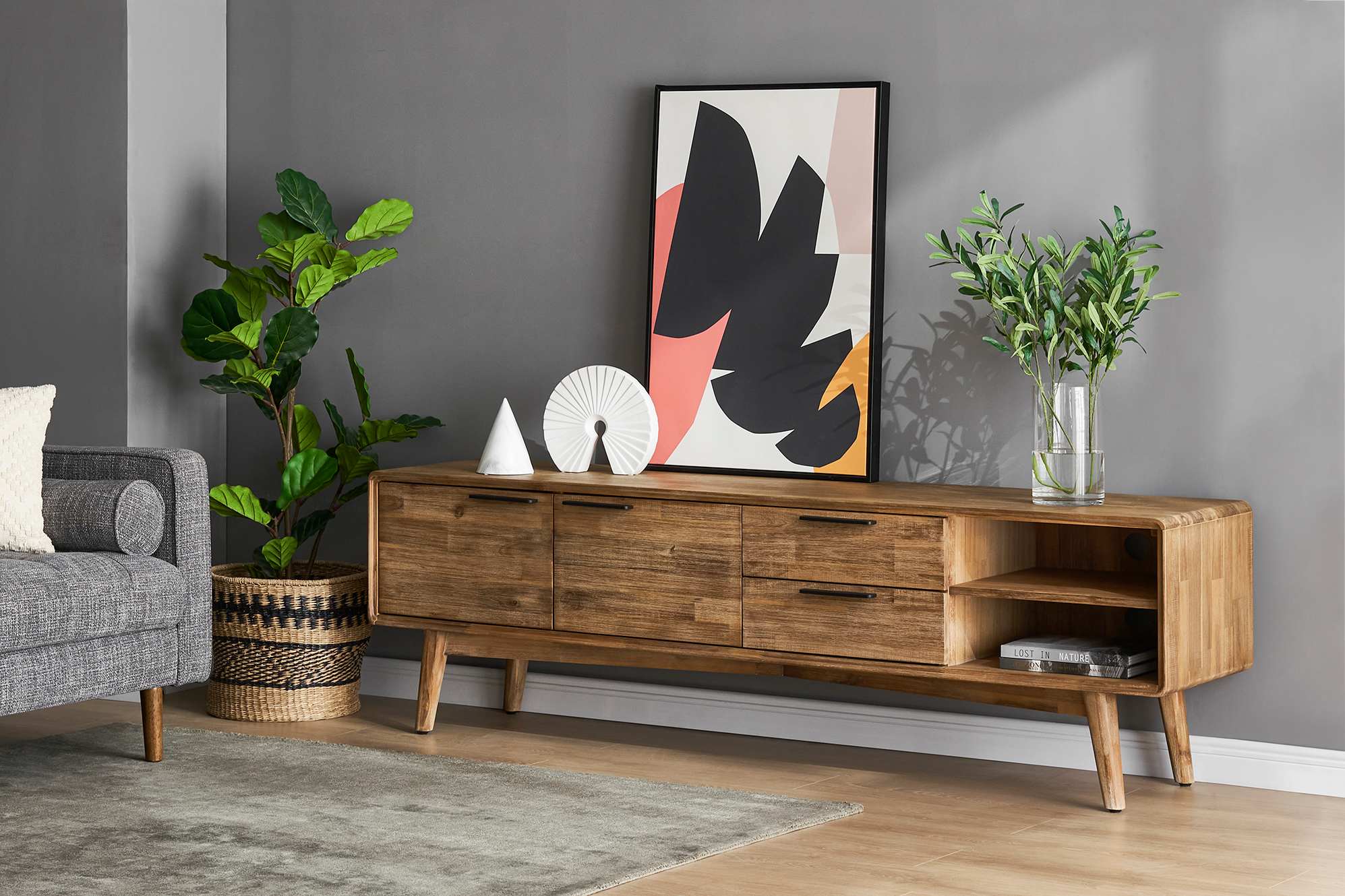 Seb TV Console 4