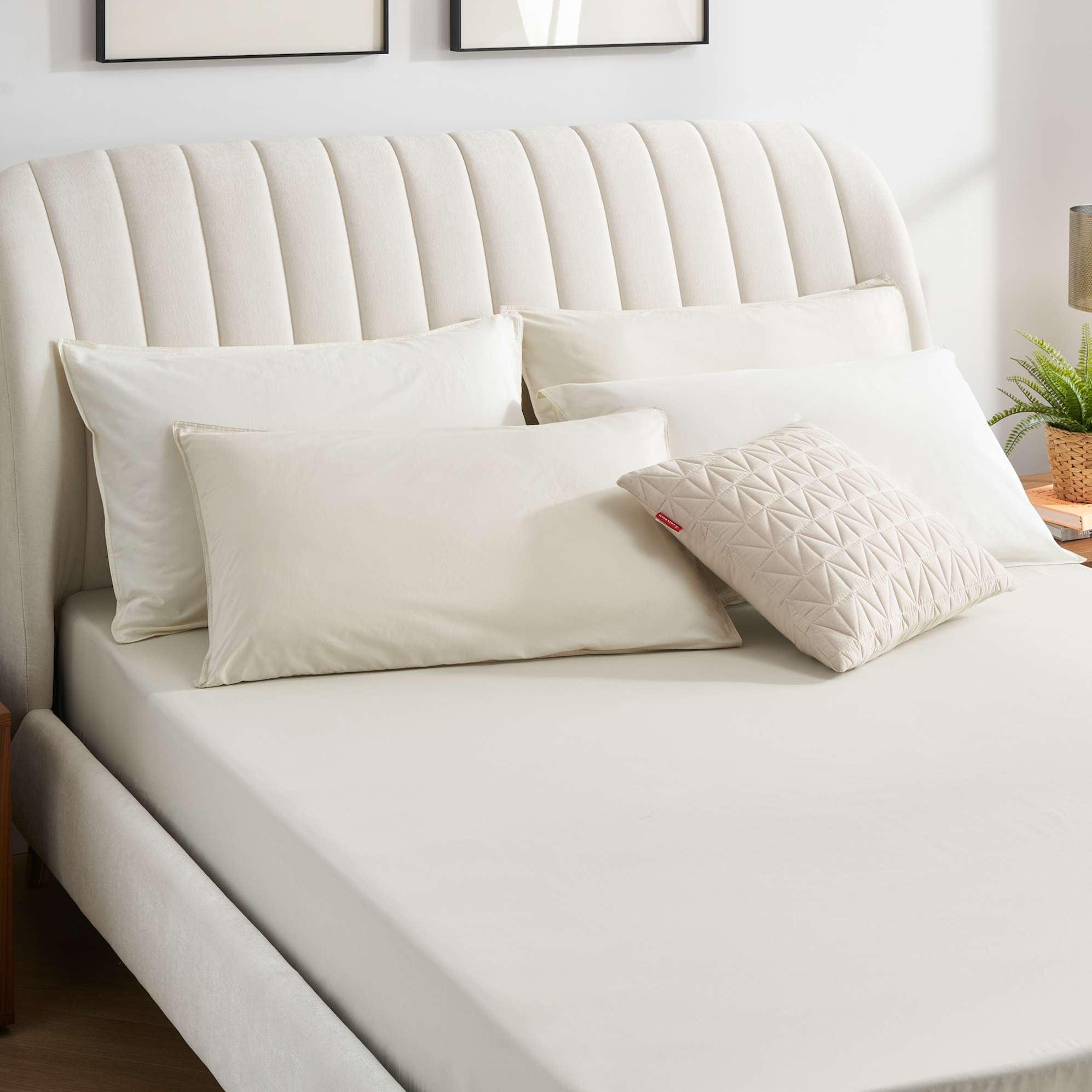Percale Fitted Sheet 3