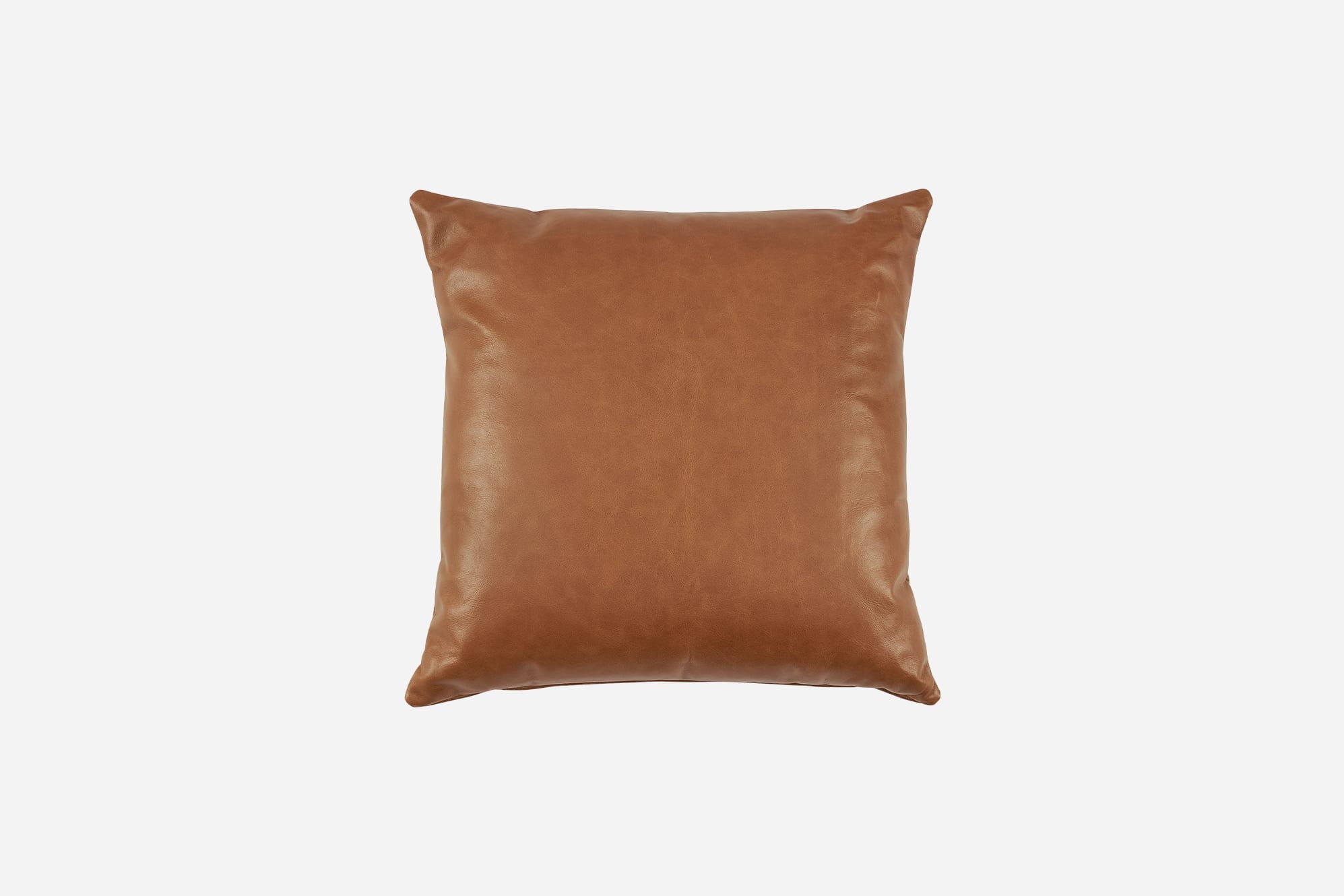Orion Leather Throw Pillow 1