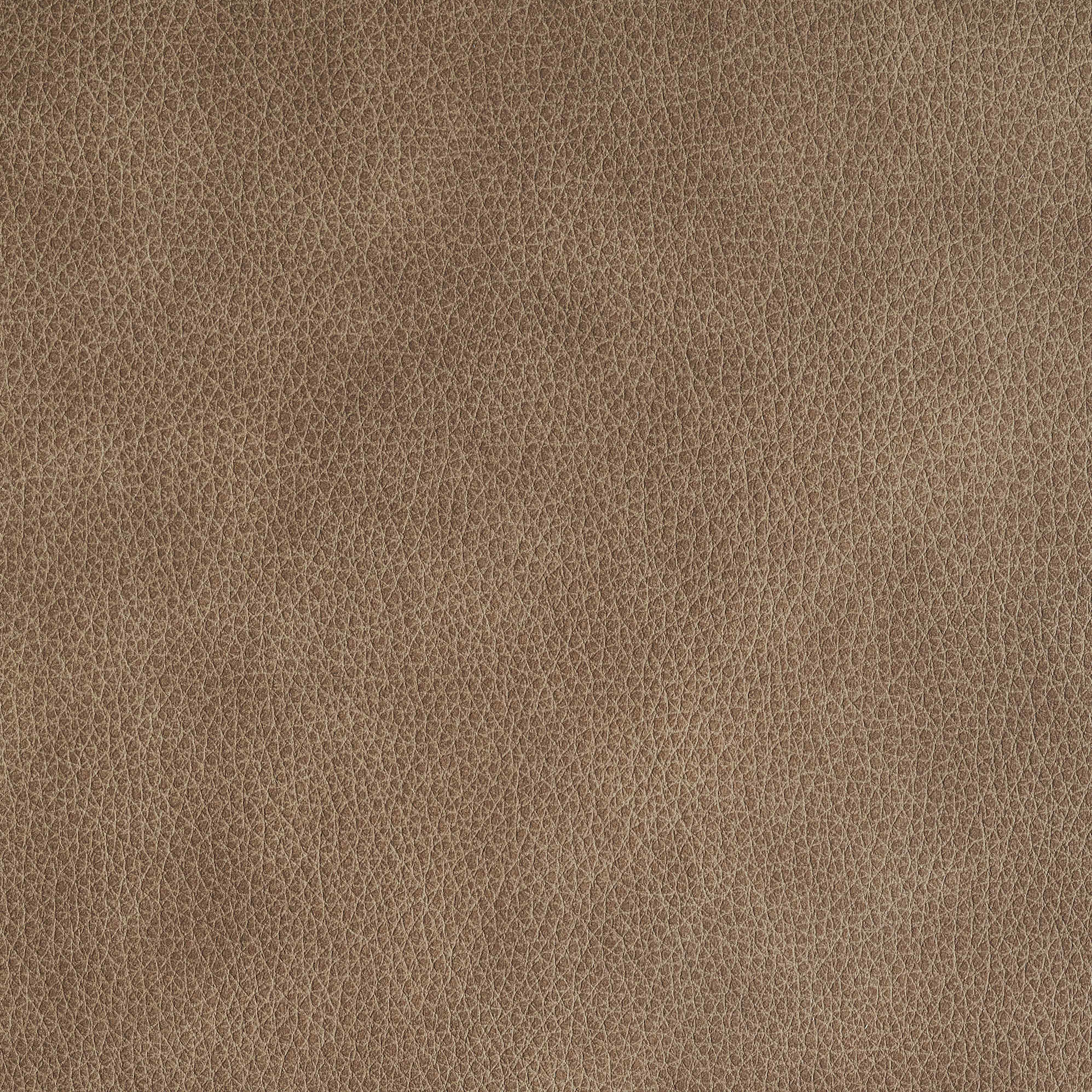 warm_taupe