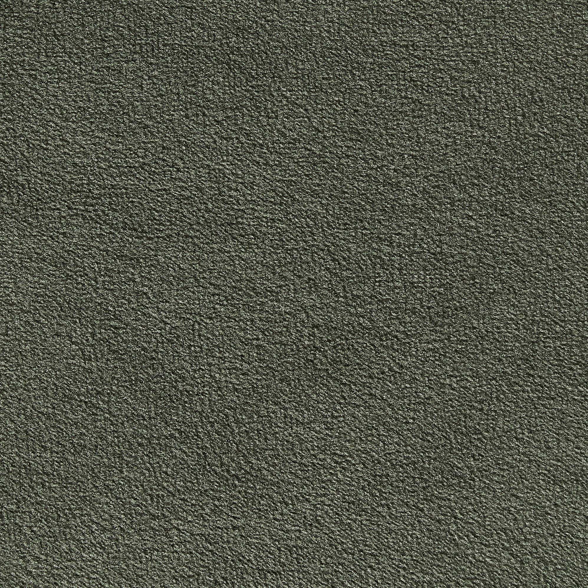 Performance Moss