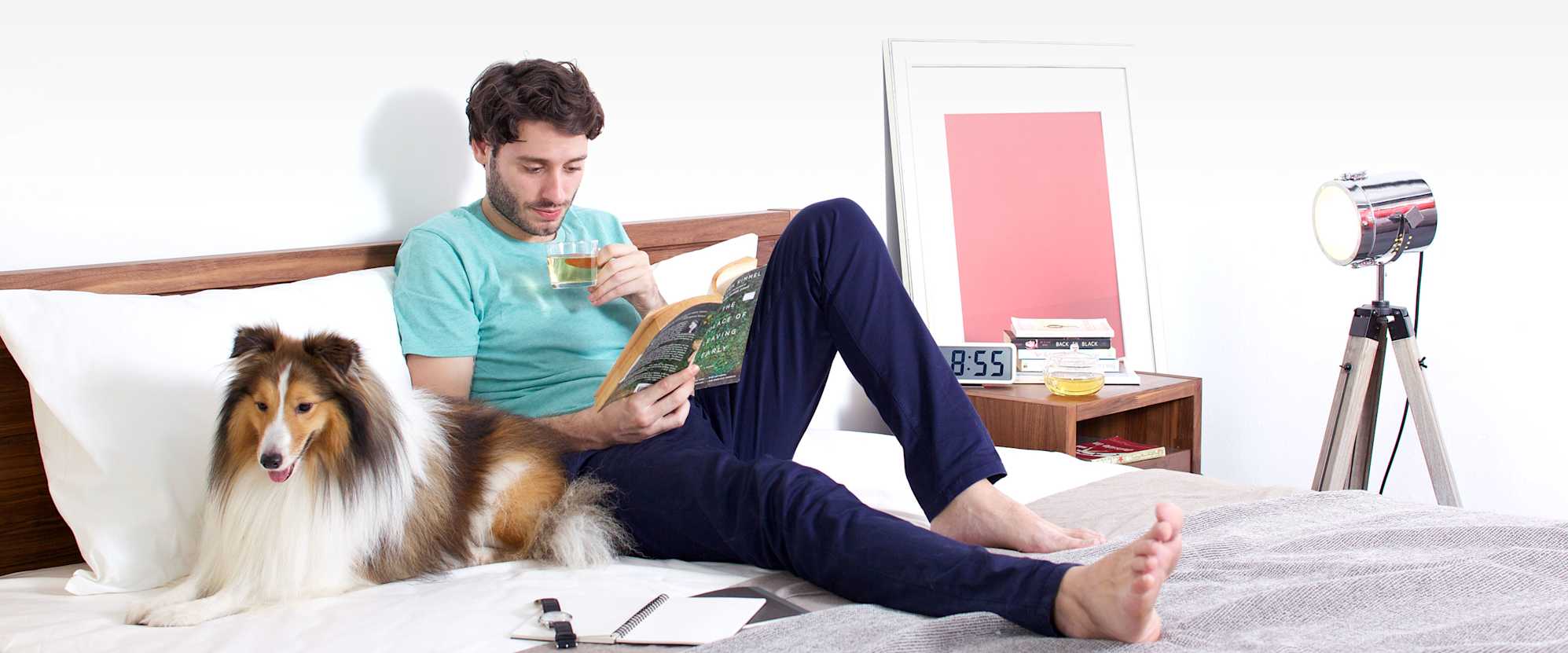 Alber Mattress, High Density Pocket Spring 1