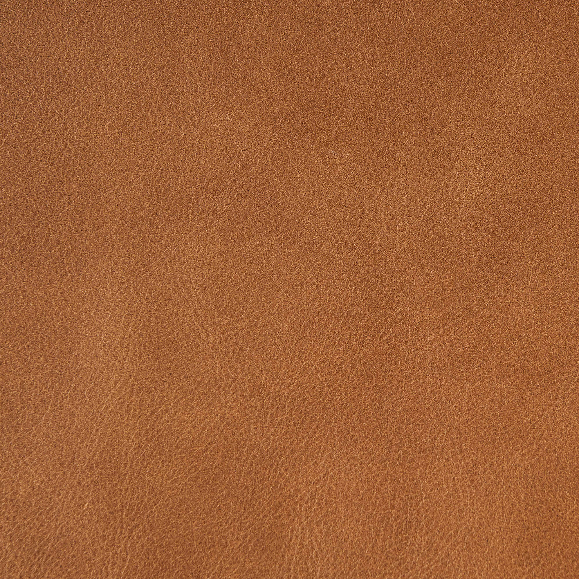 Swatch, Cocoa