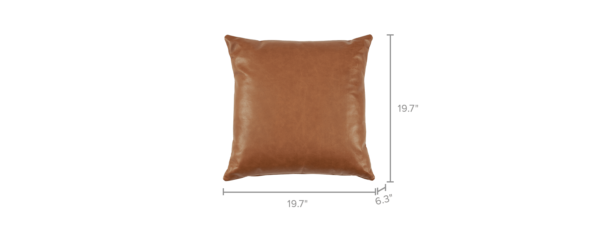 dimension of Orion Leather Throw Pillow