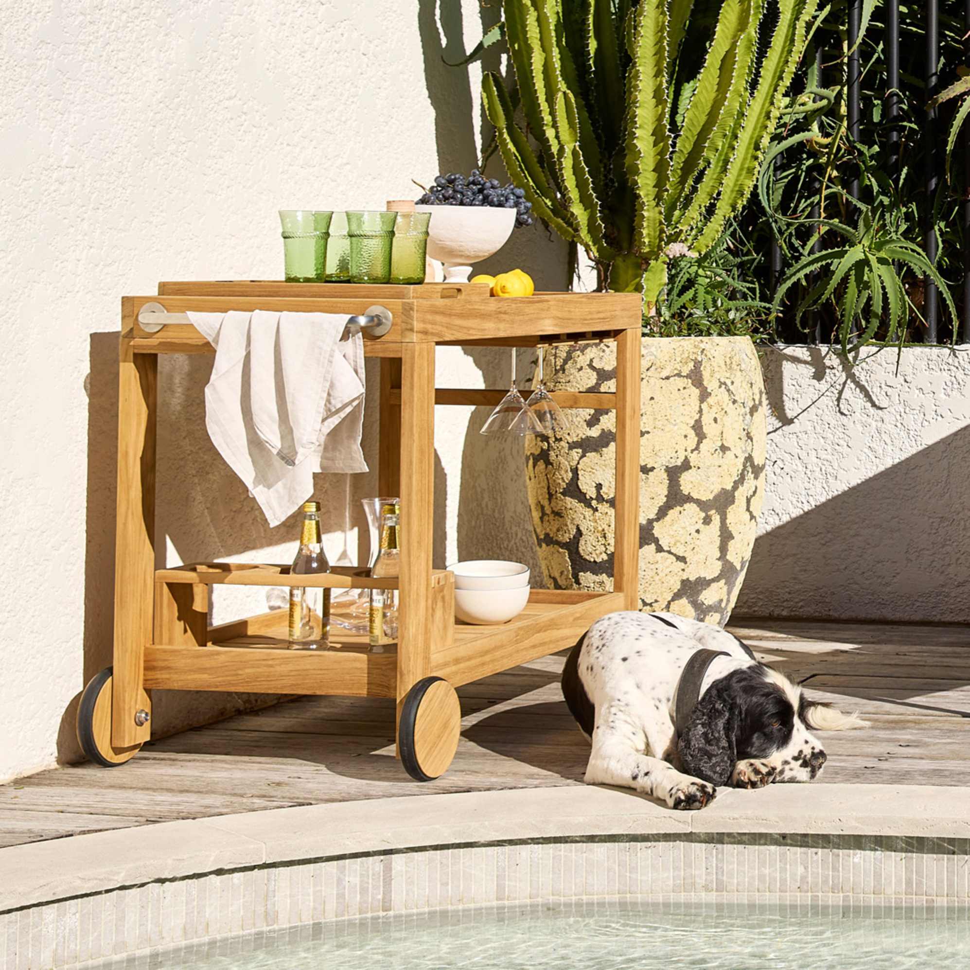 Verdant Tall Drinking Glasses, Set of 4 4