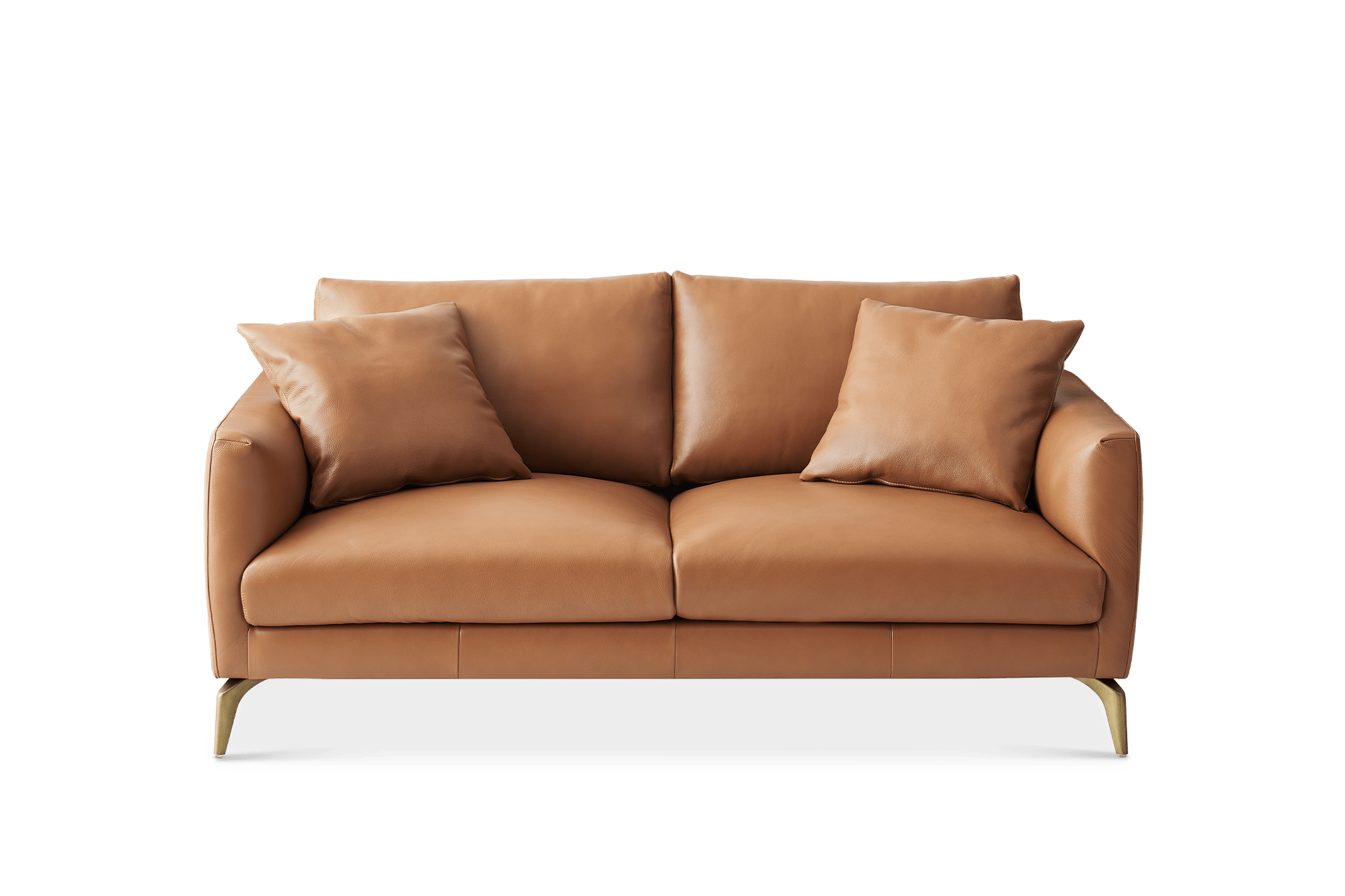 Lena Leather 2 Seater Sofa 1