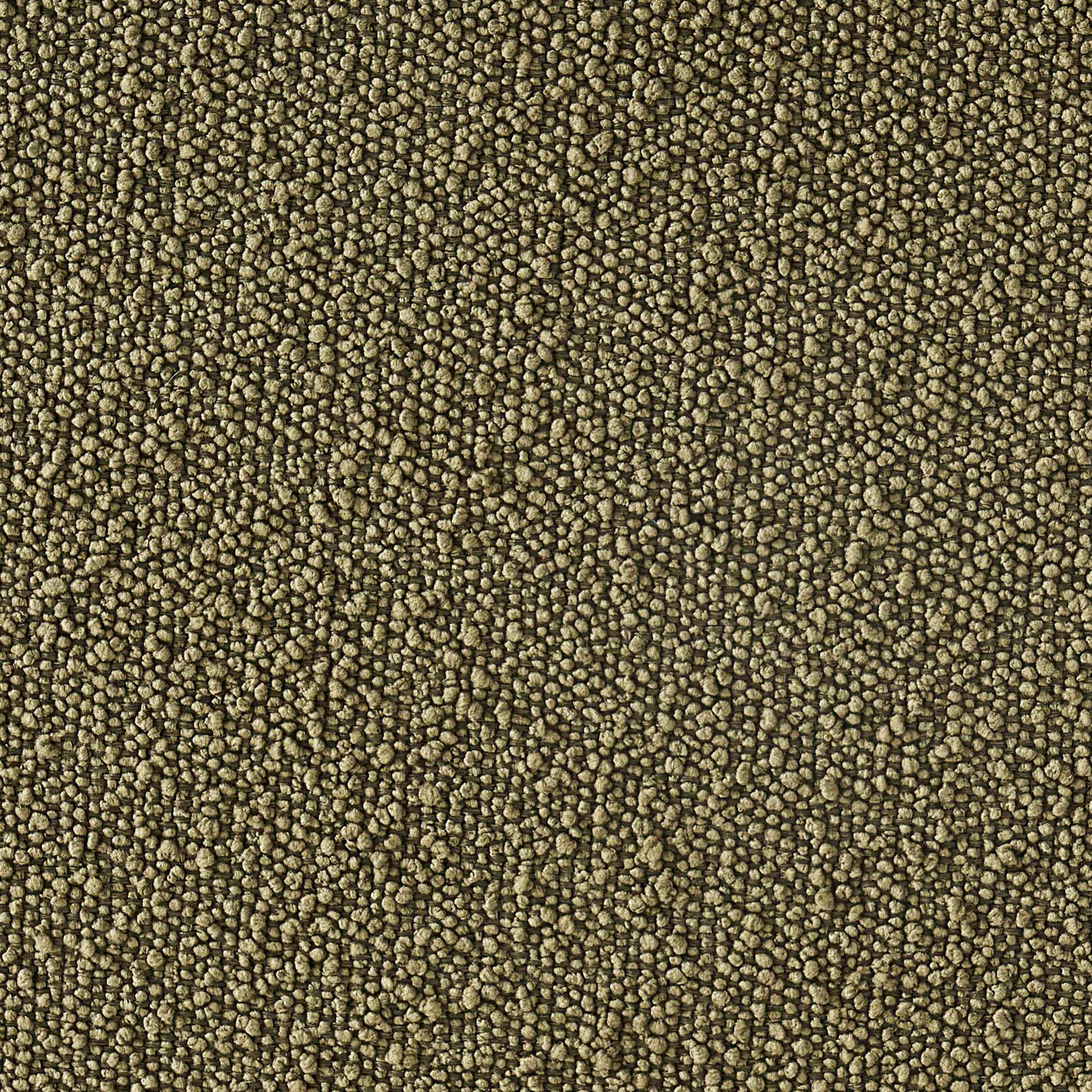 Performance Infinity Boucle, Moss