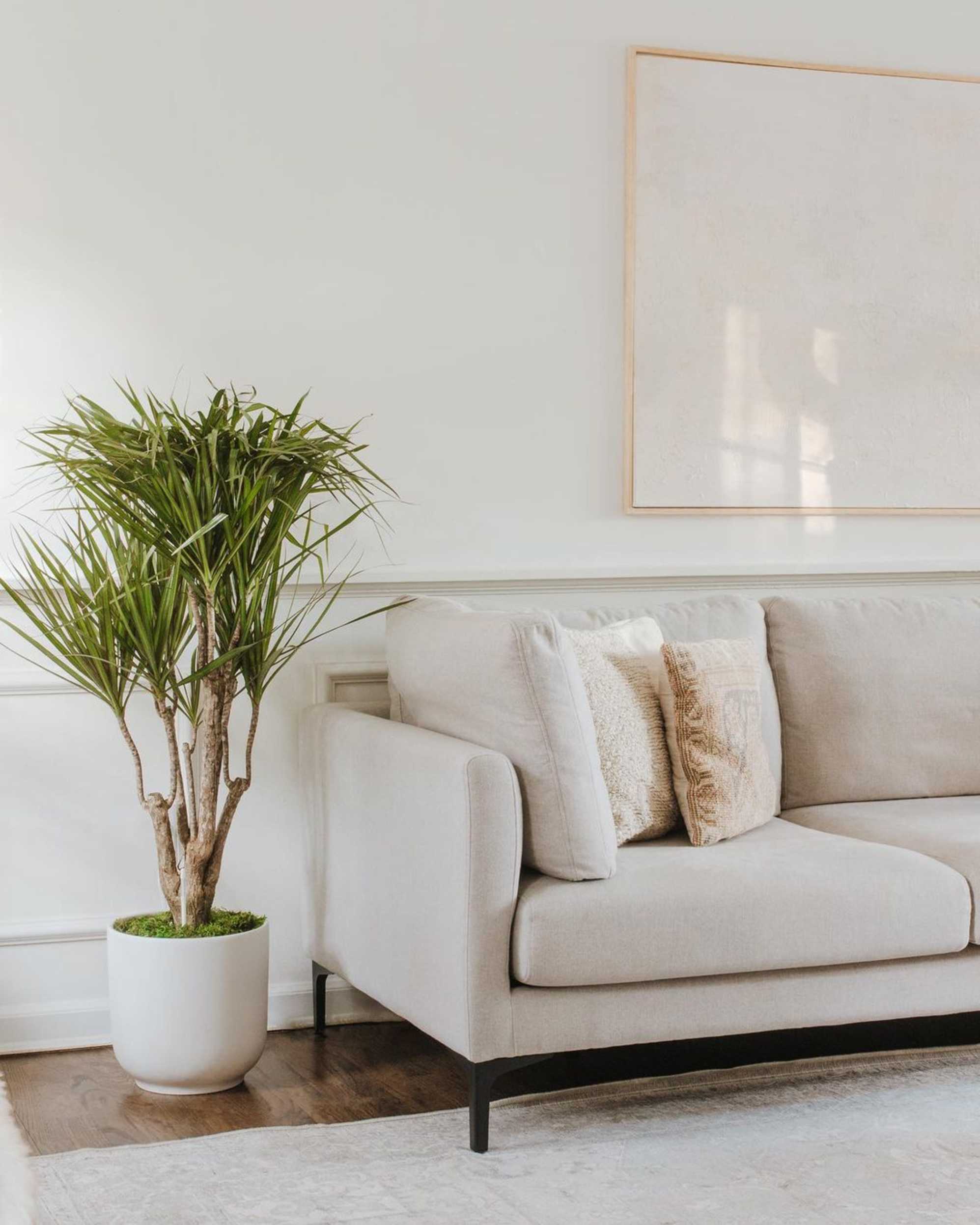 Instagram post by @careyushome - 3235