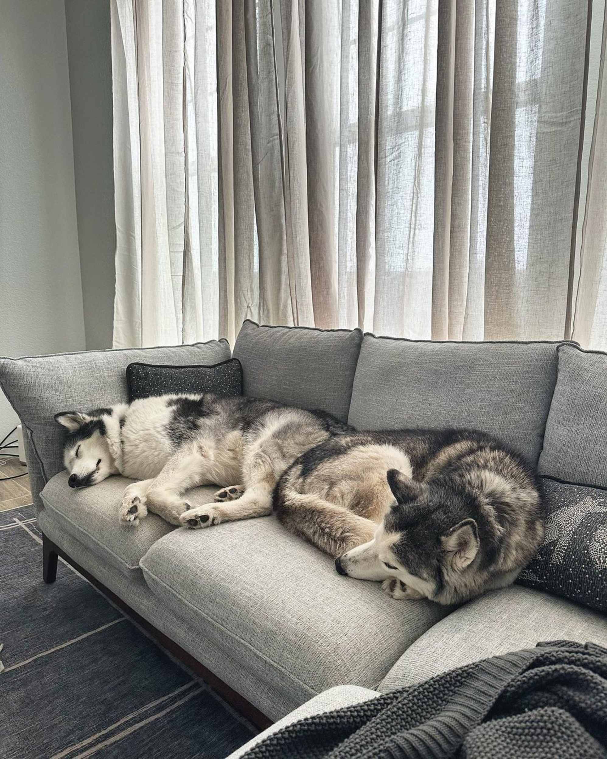 Instagram post by @mayaandava - 3844