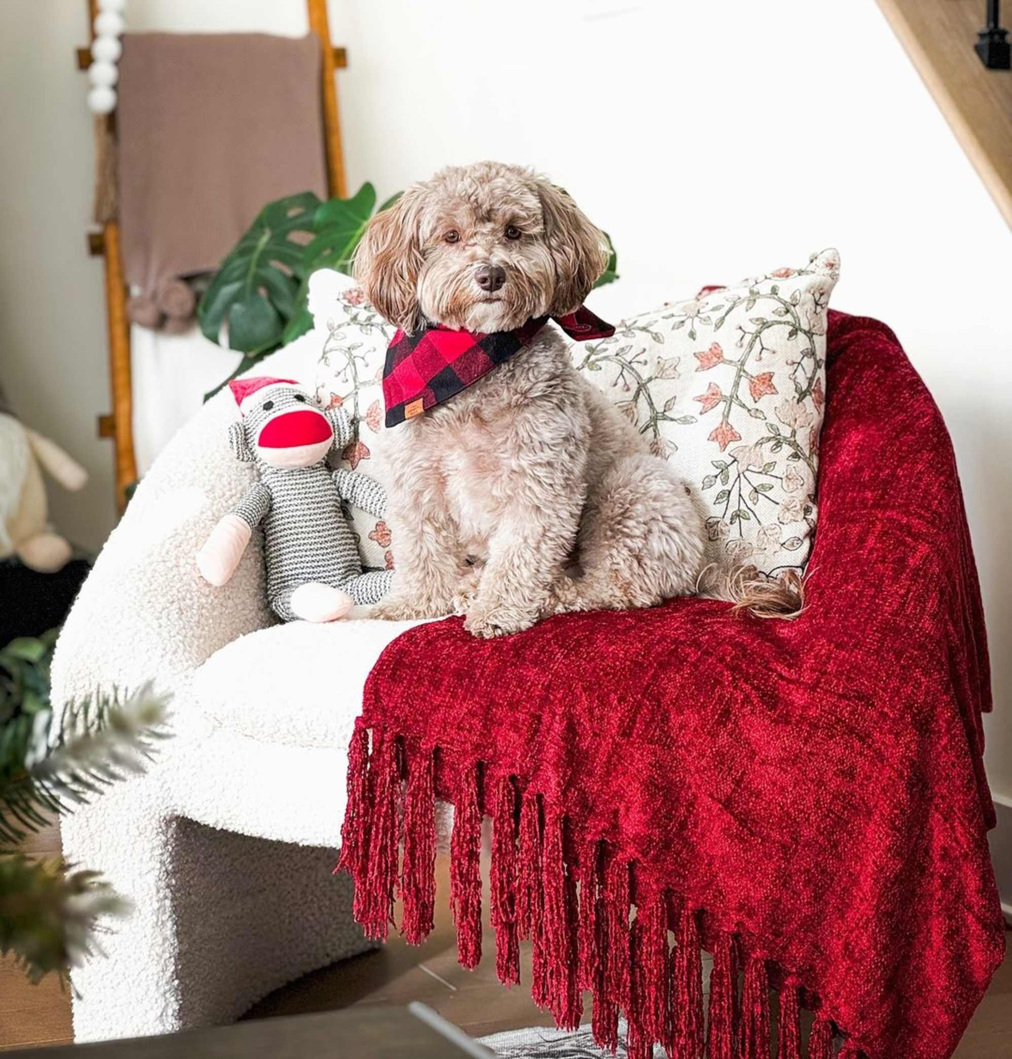 Instagram post by @lolathelabdoo - 3965