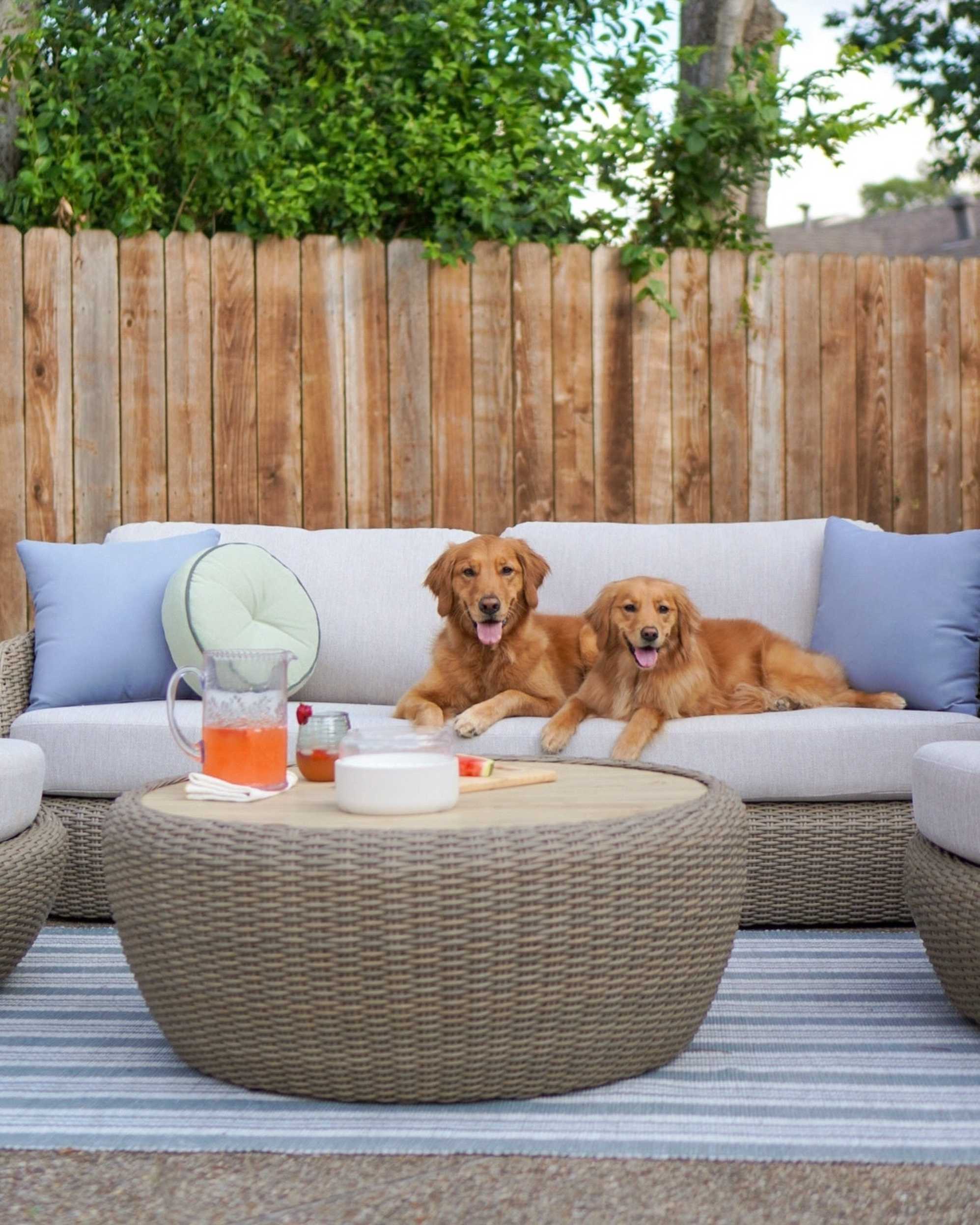 Instagram post by @winniethegoldenpupper - 4294