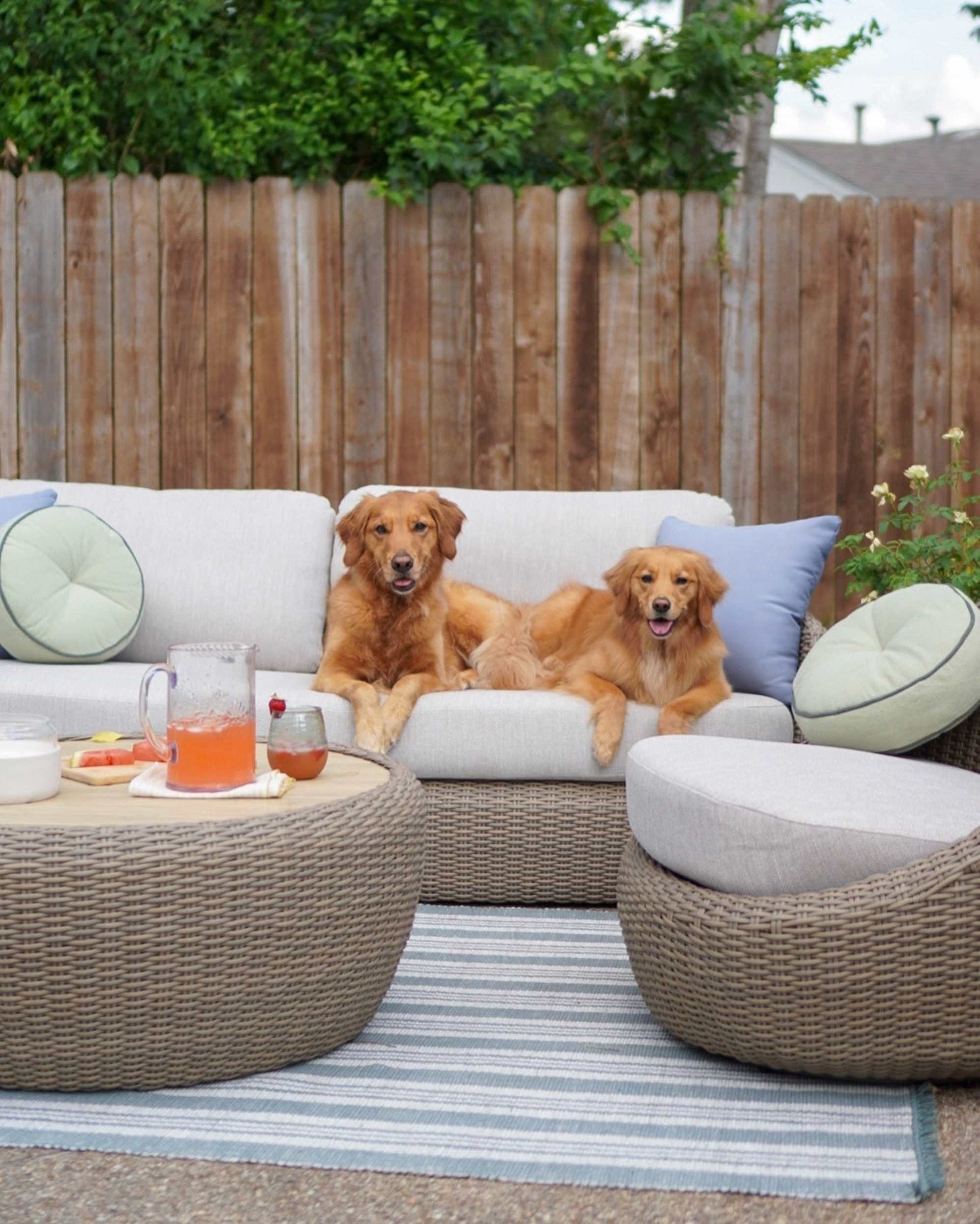 Instagram post by @winniethegoldenpupper - 4297