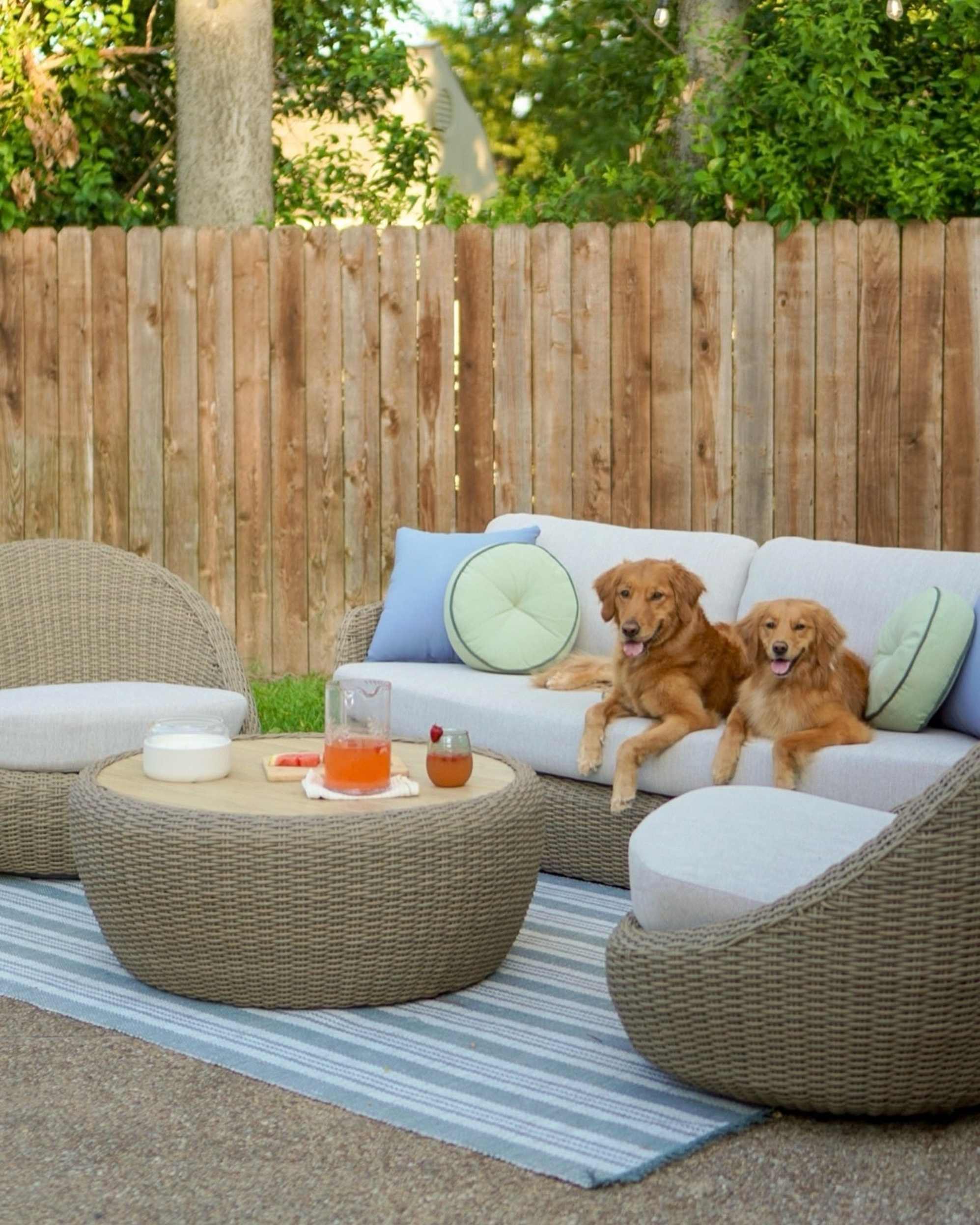 Instagram post by @winniethegoldenpupper - 4298