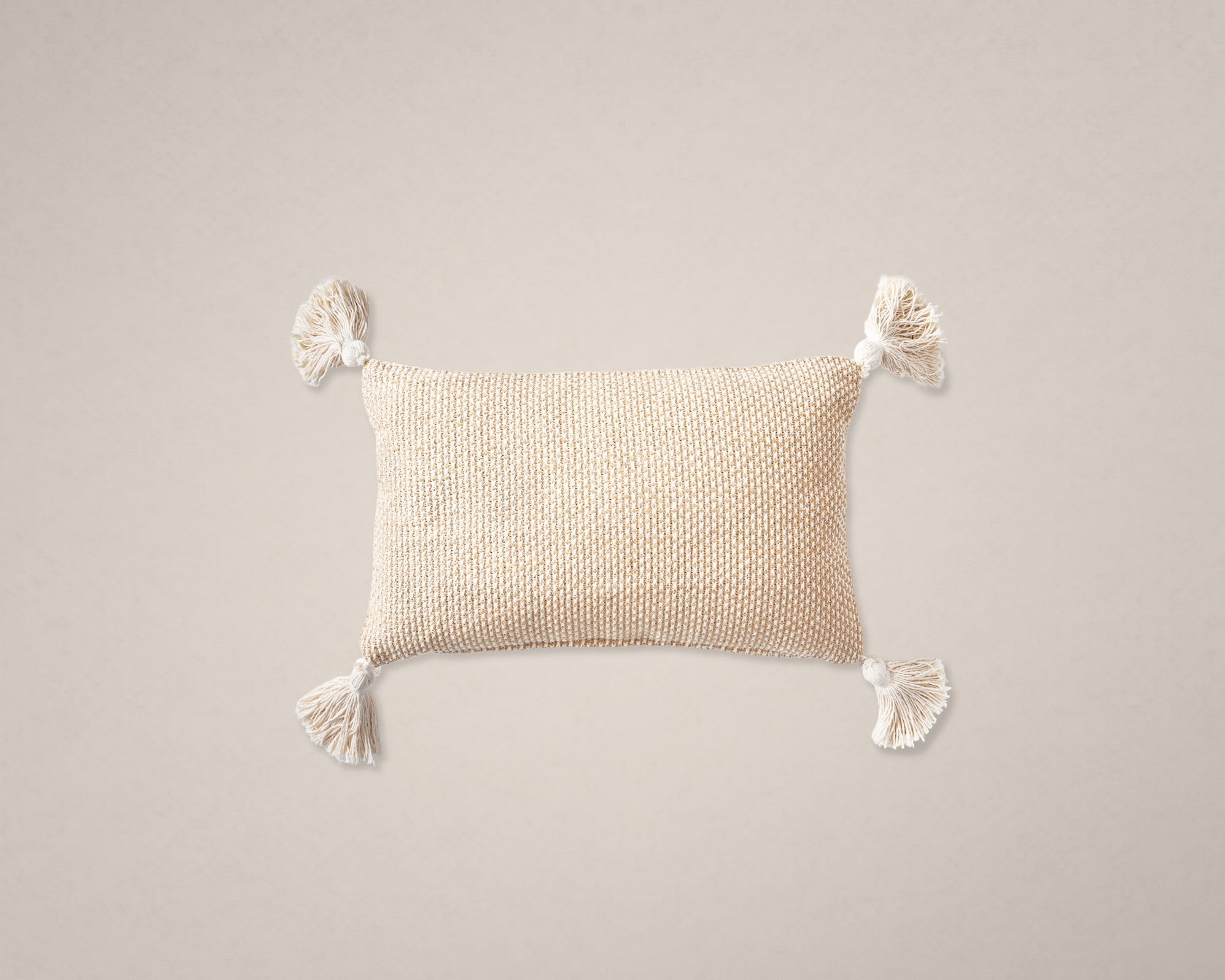 Tan France Willa Cushion 1