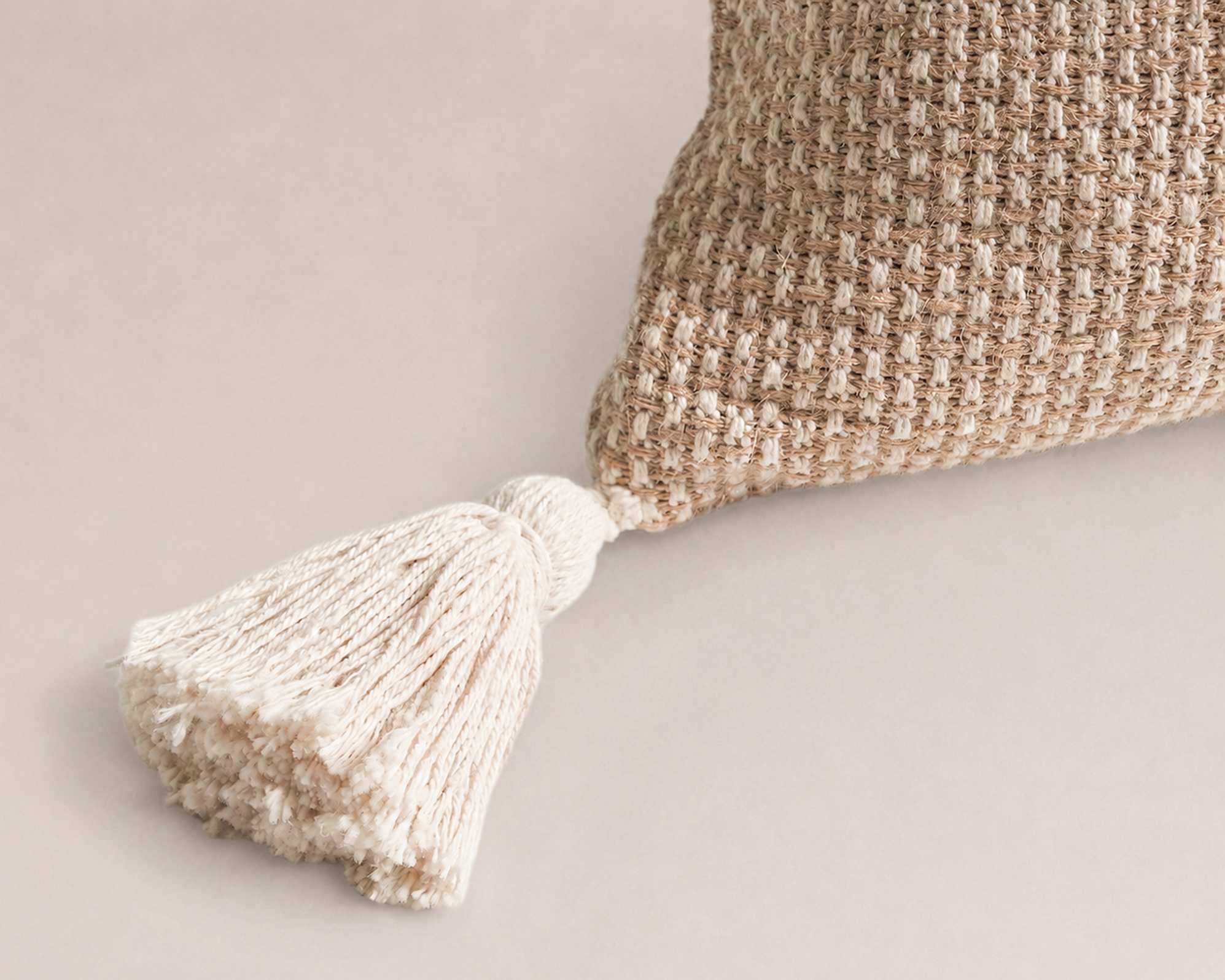 Tan France Willa Cushion 3