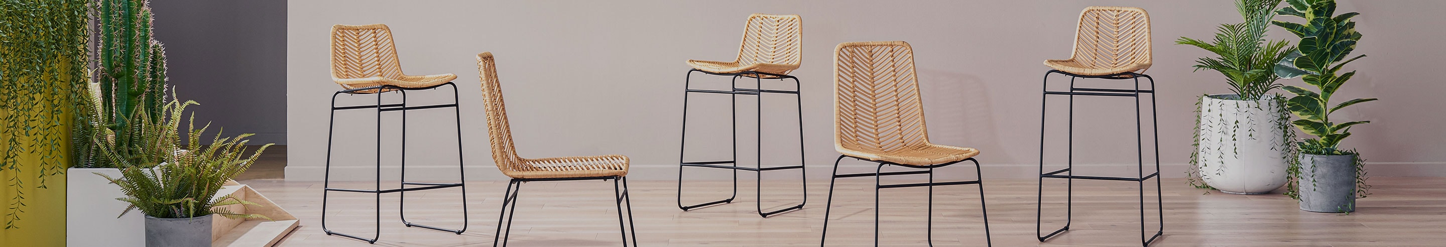 Hagen Collection