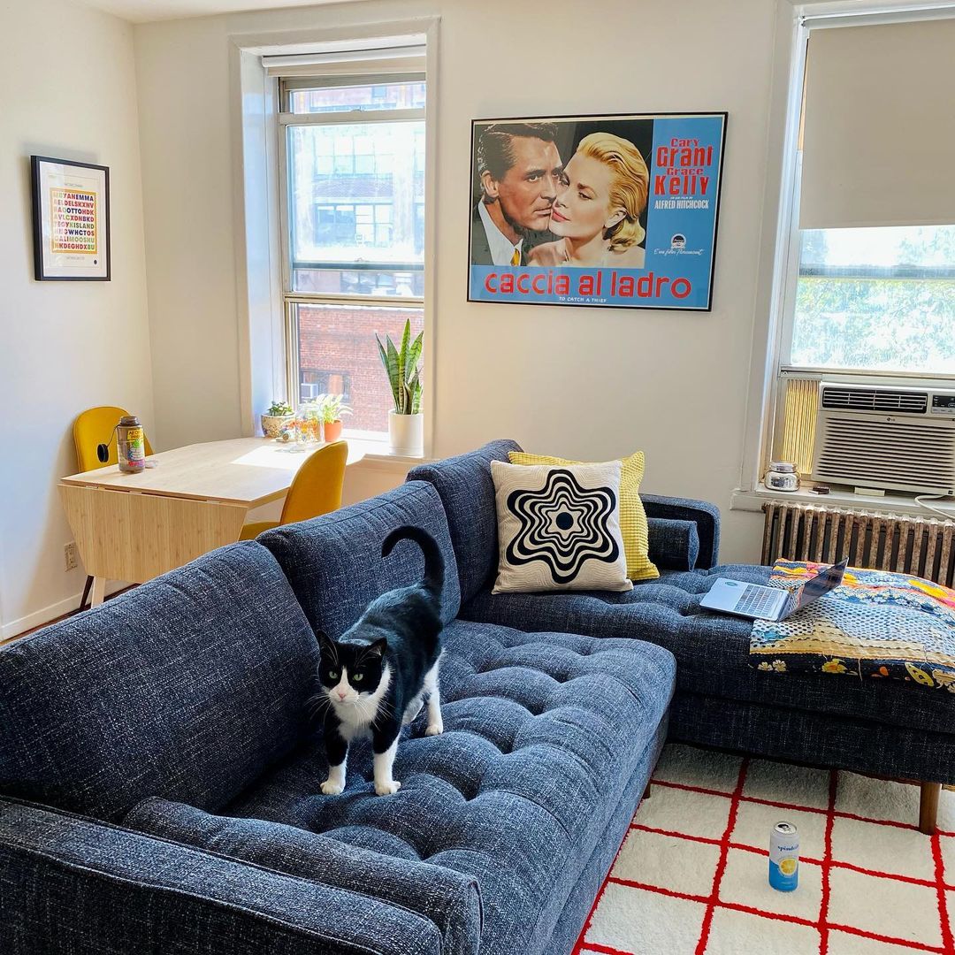 A cat atop a blue chaise sectional sofa in a living room.