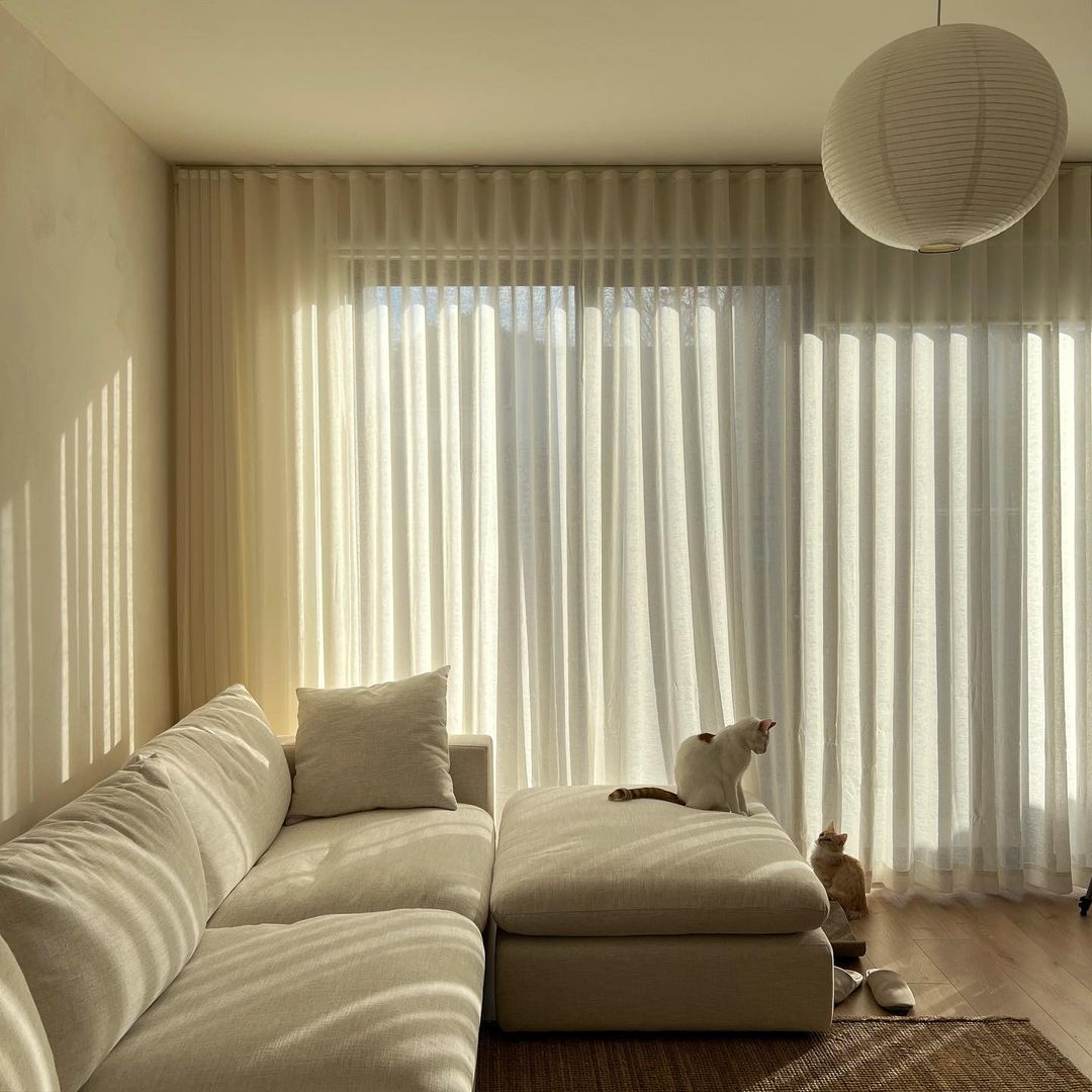 Two cats in a living room playing on a white sofa.