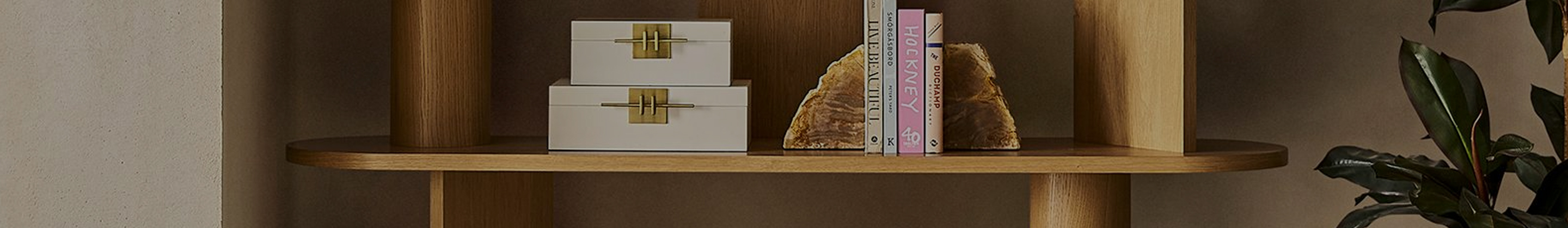 Shelves & Bookcases