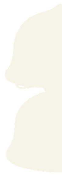 Teaser Silhouette