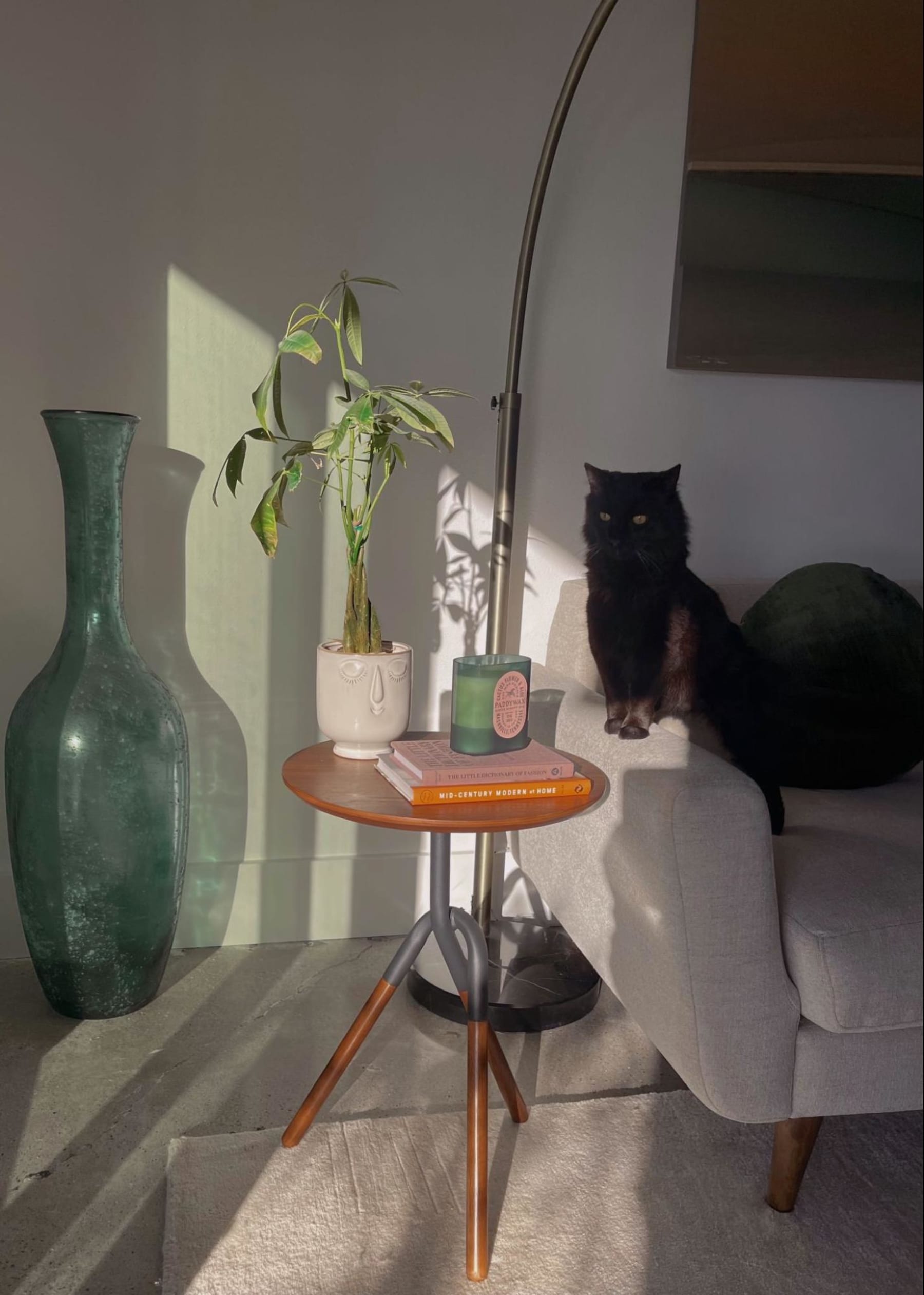 Sleek walnut side table styled with a potted houseplant and books