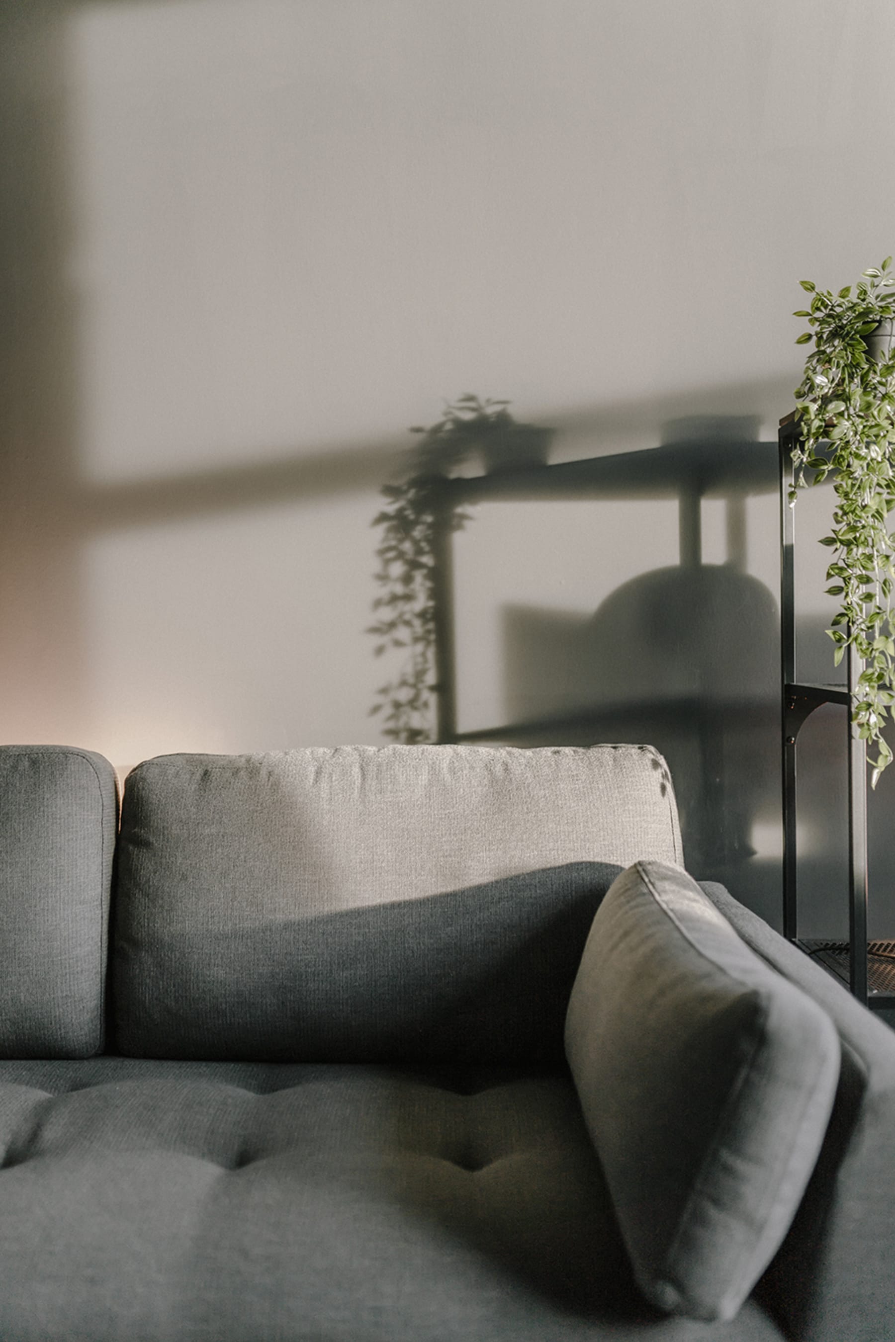 a close up of a grey L-shaped sofa paired with a potted plant against a plain white wall in a living room