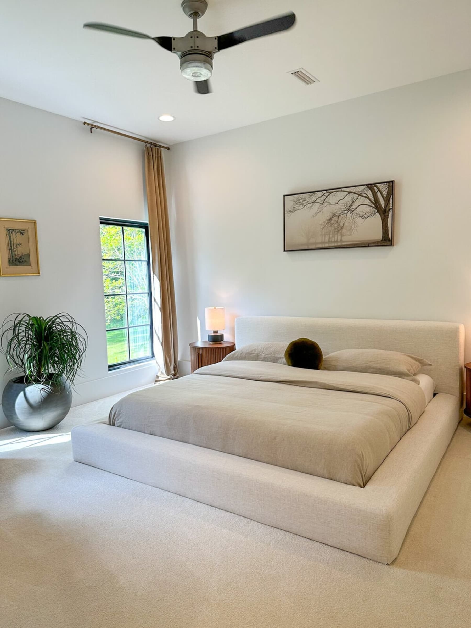 A platform bed, a potted plant, and 2 bedside tables in a room.