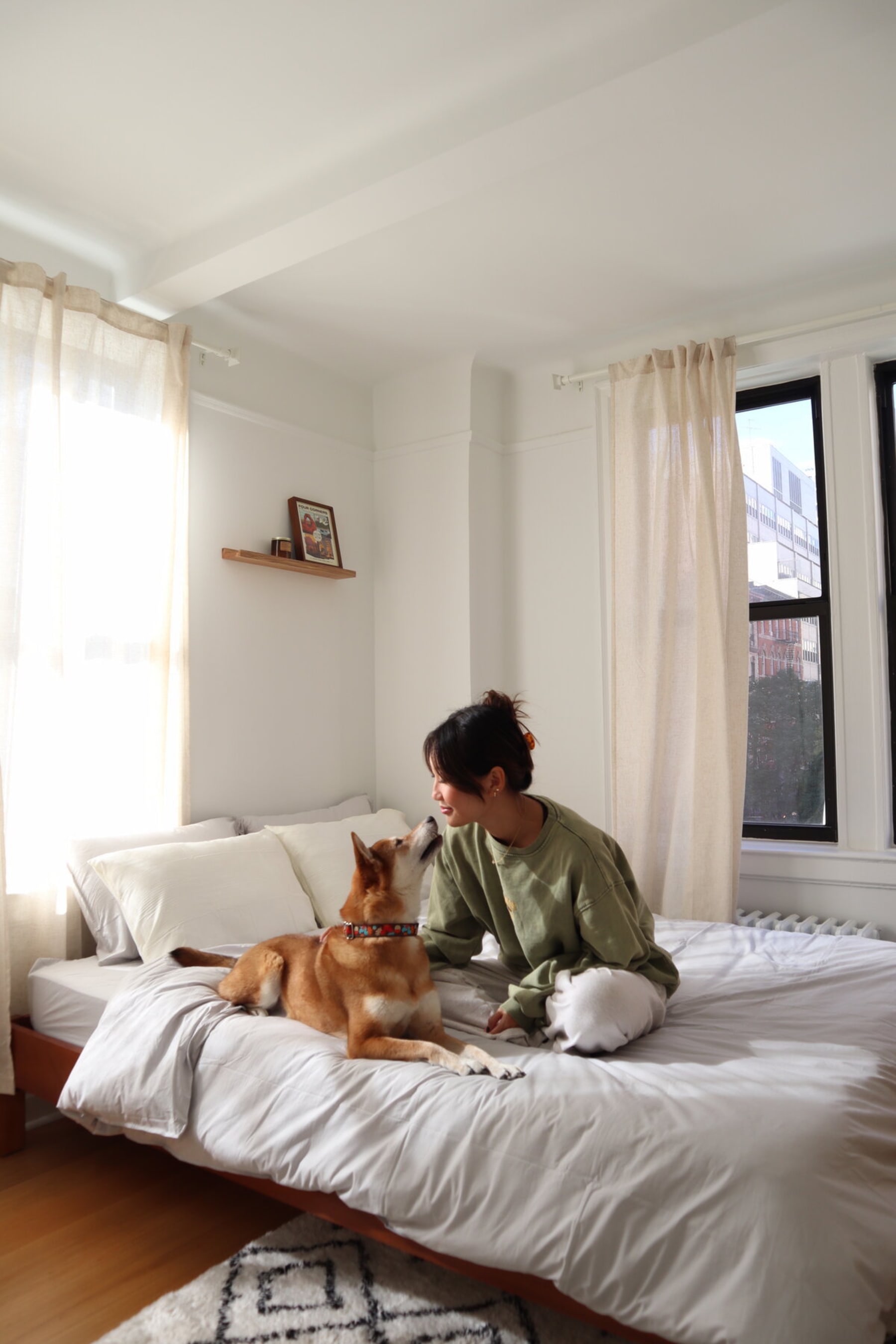 A person is with their dog on the bed.