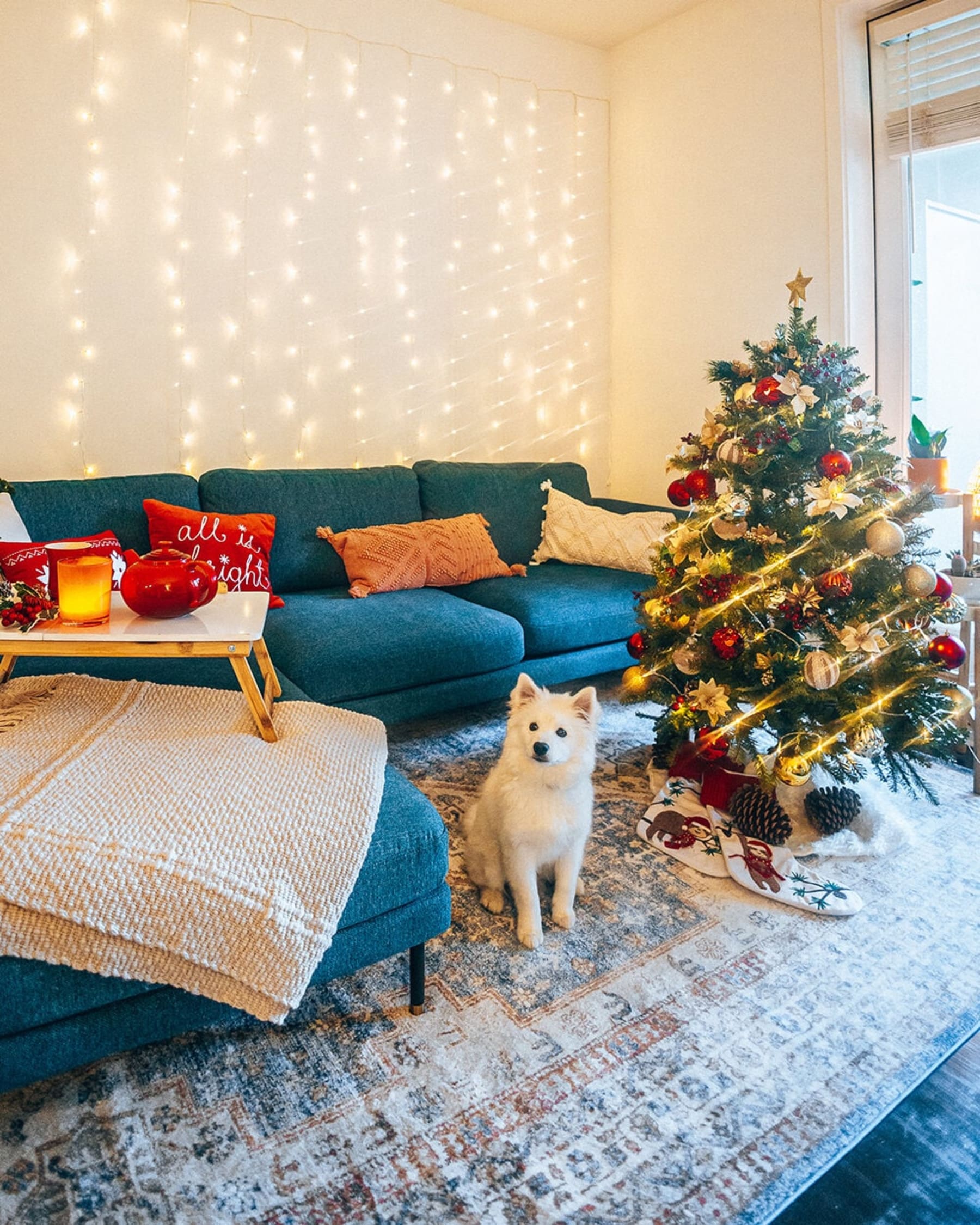 A blue fabric chaise sectional sofa is pictured with a white dog.