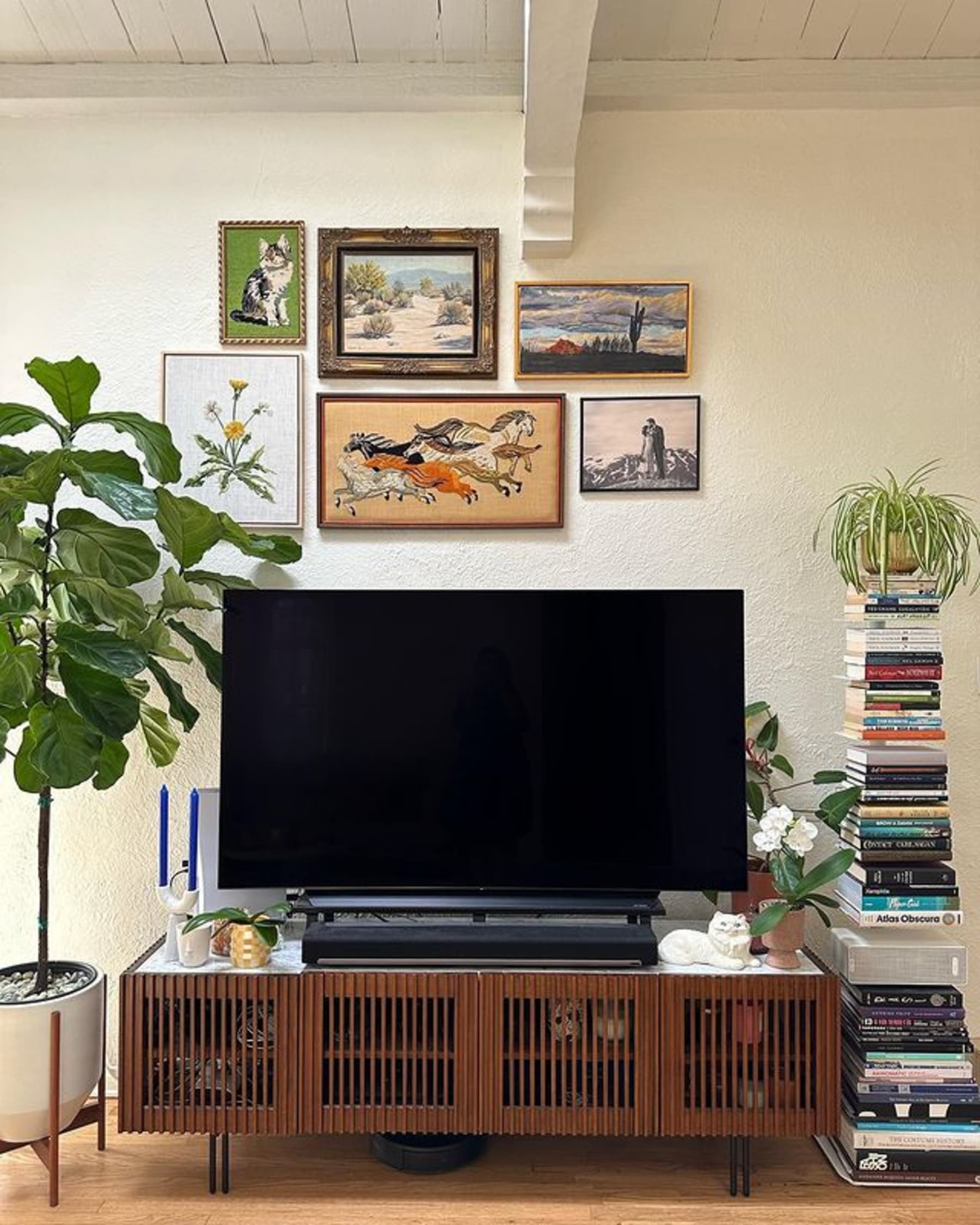 Wiooden TV unit with slatted doors in between a large plant and a stack of books with pictured paintings on the wall above