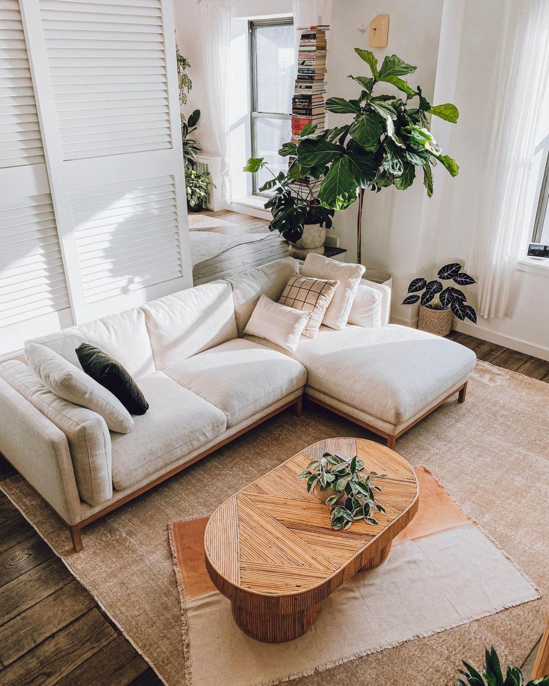 A white sofa with plants and a jute rug in the living room.