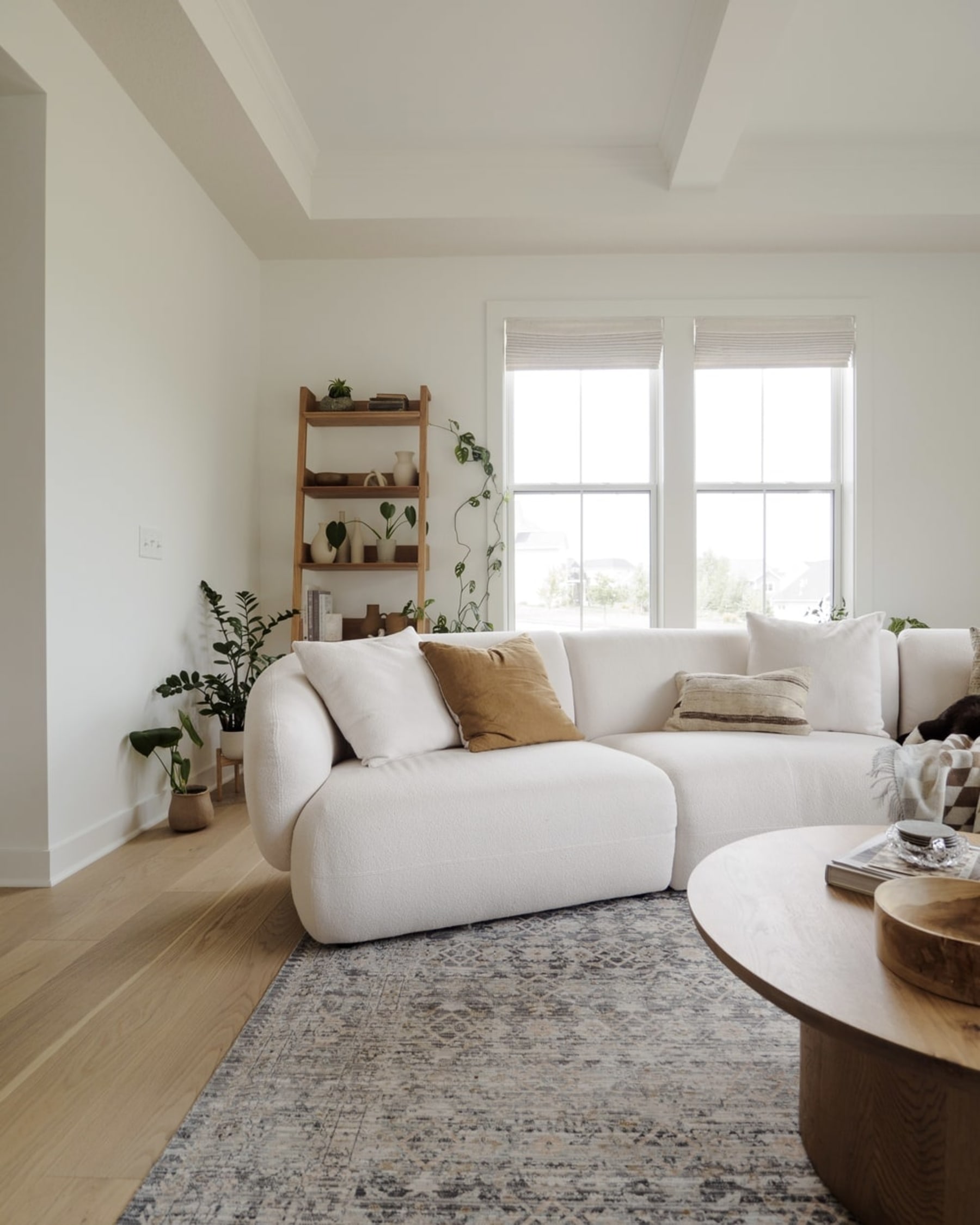 Several potted plants are placed at the corner of a living room.