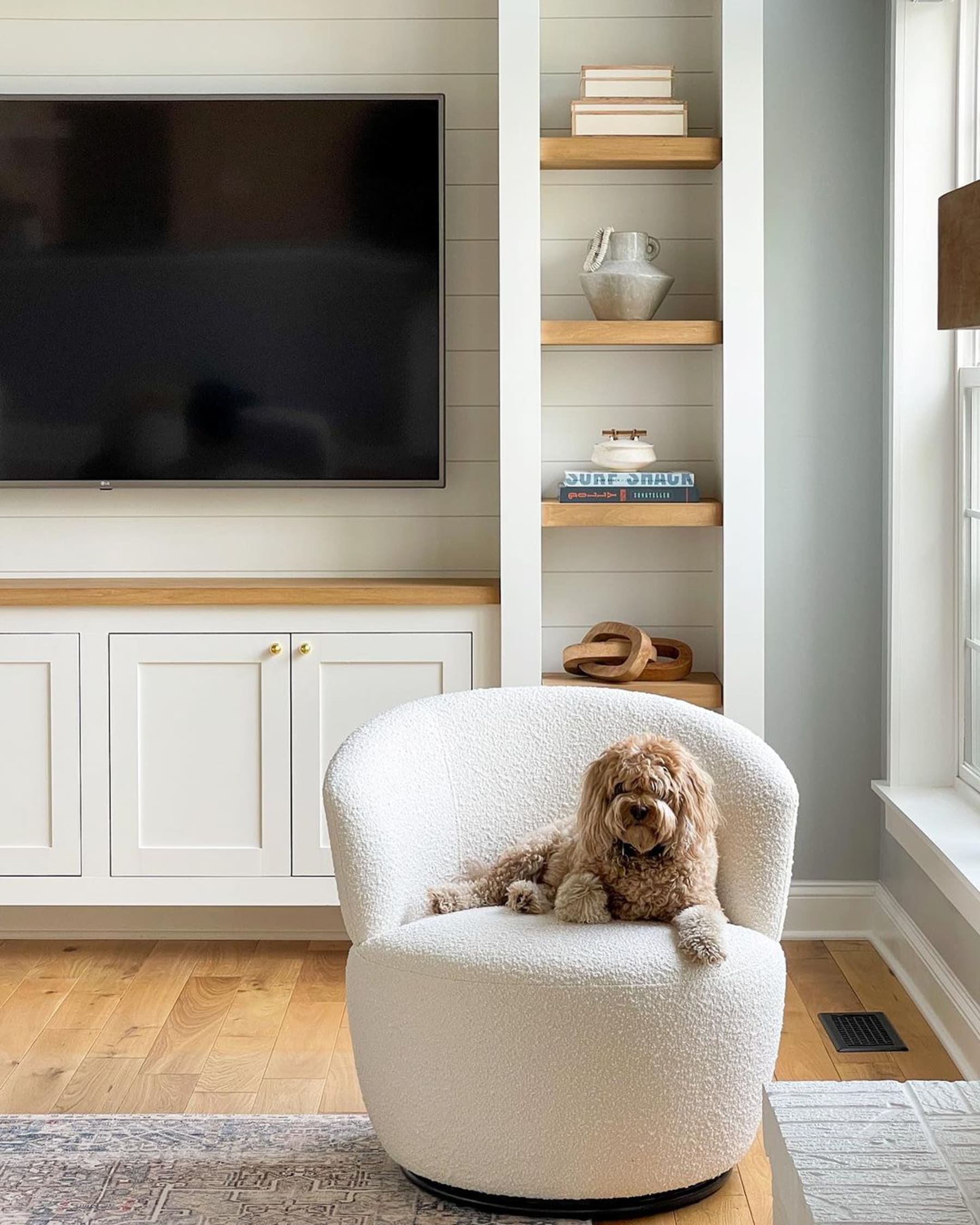 A dog lying down on a performance bouclé swivel armchair