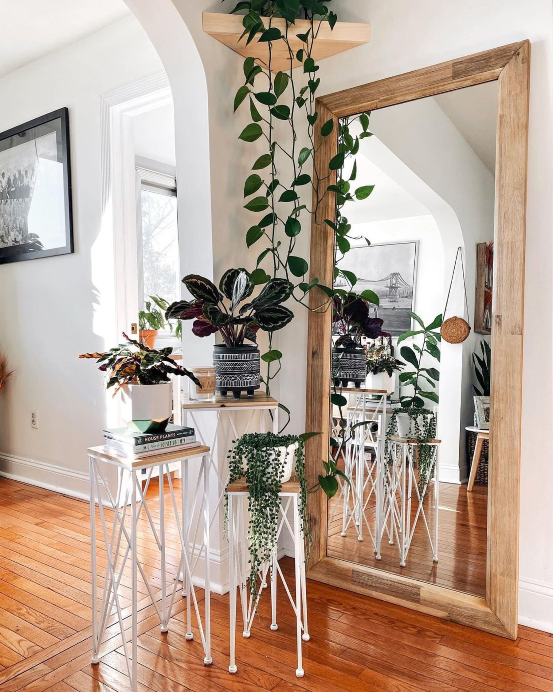 A tall mirror with a wooden frame placed beside an ensemble of plants.