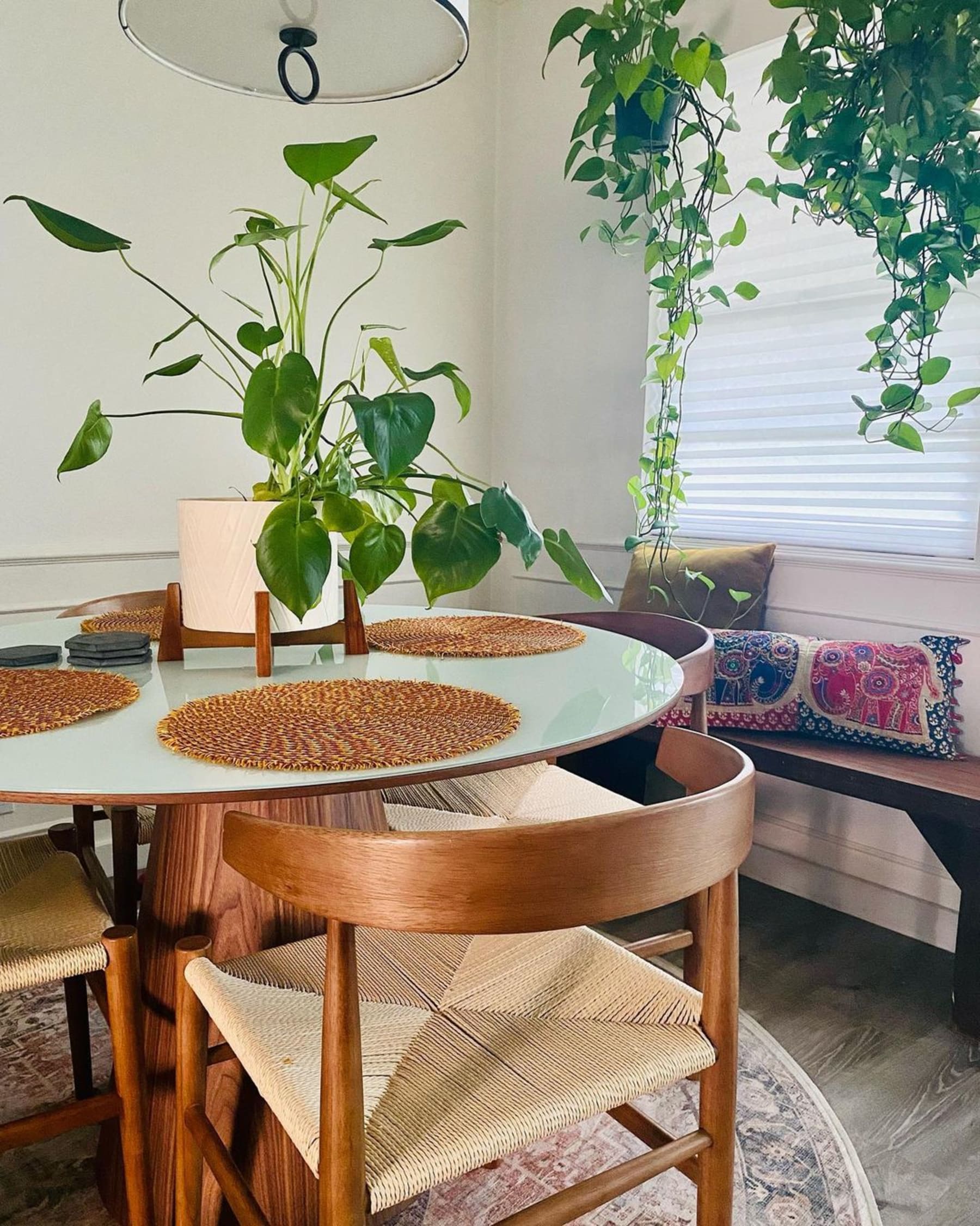 A glass round dining table with a potted plant in the centre and hanging plants.