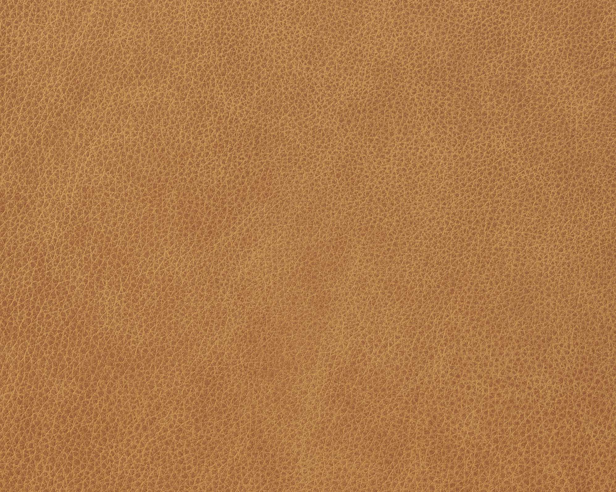 Elliot Leather Banquette Bench 4