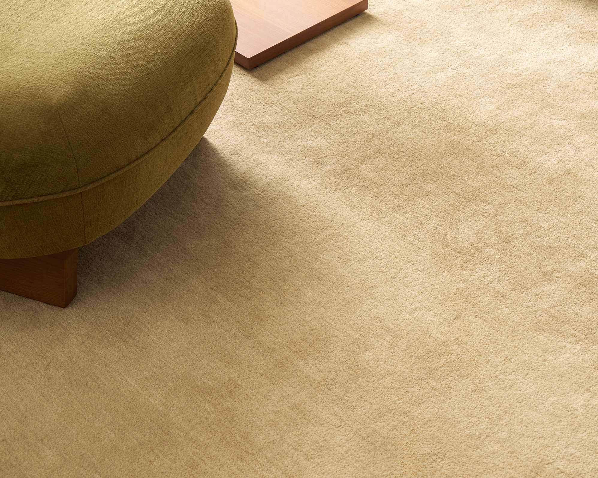 Tan France Isha Area Rug 0