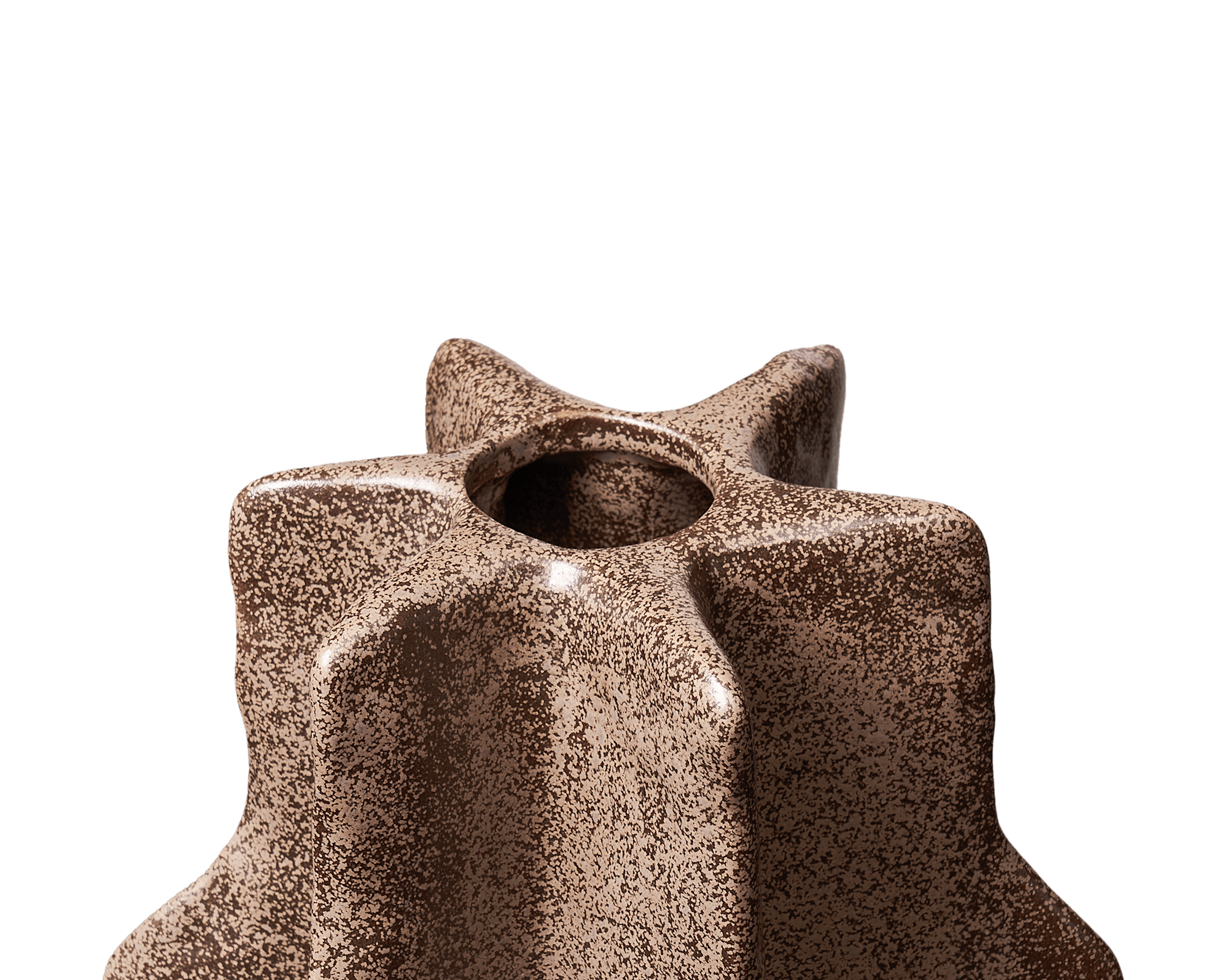 Xyra Ceramic Botanical Sculptural Vase 3