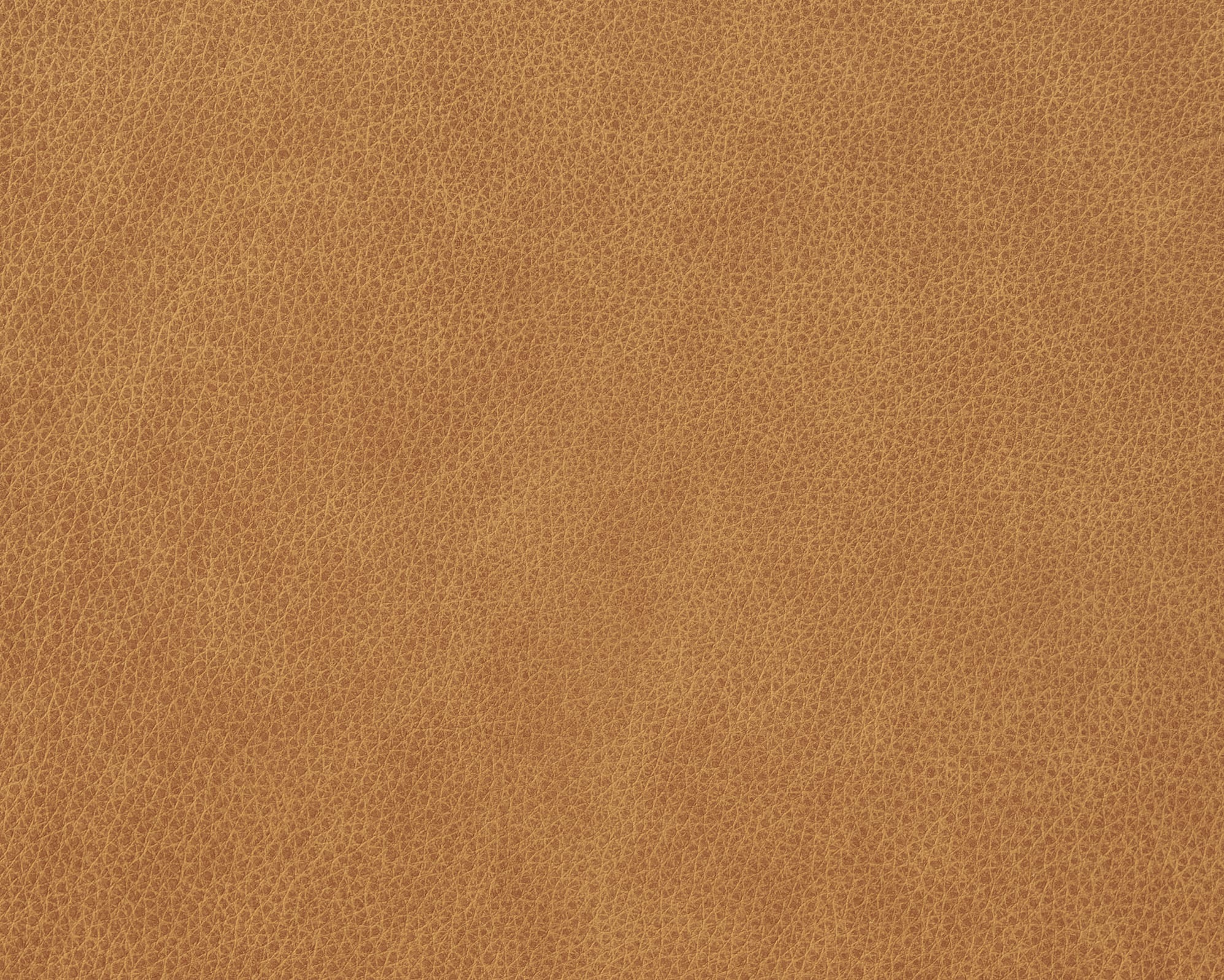 Elliot Leather Banquette Bench 4