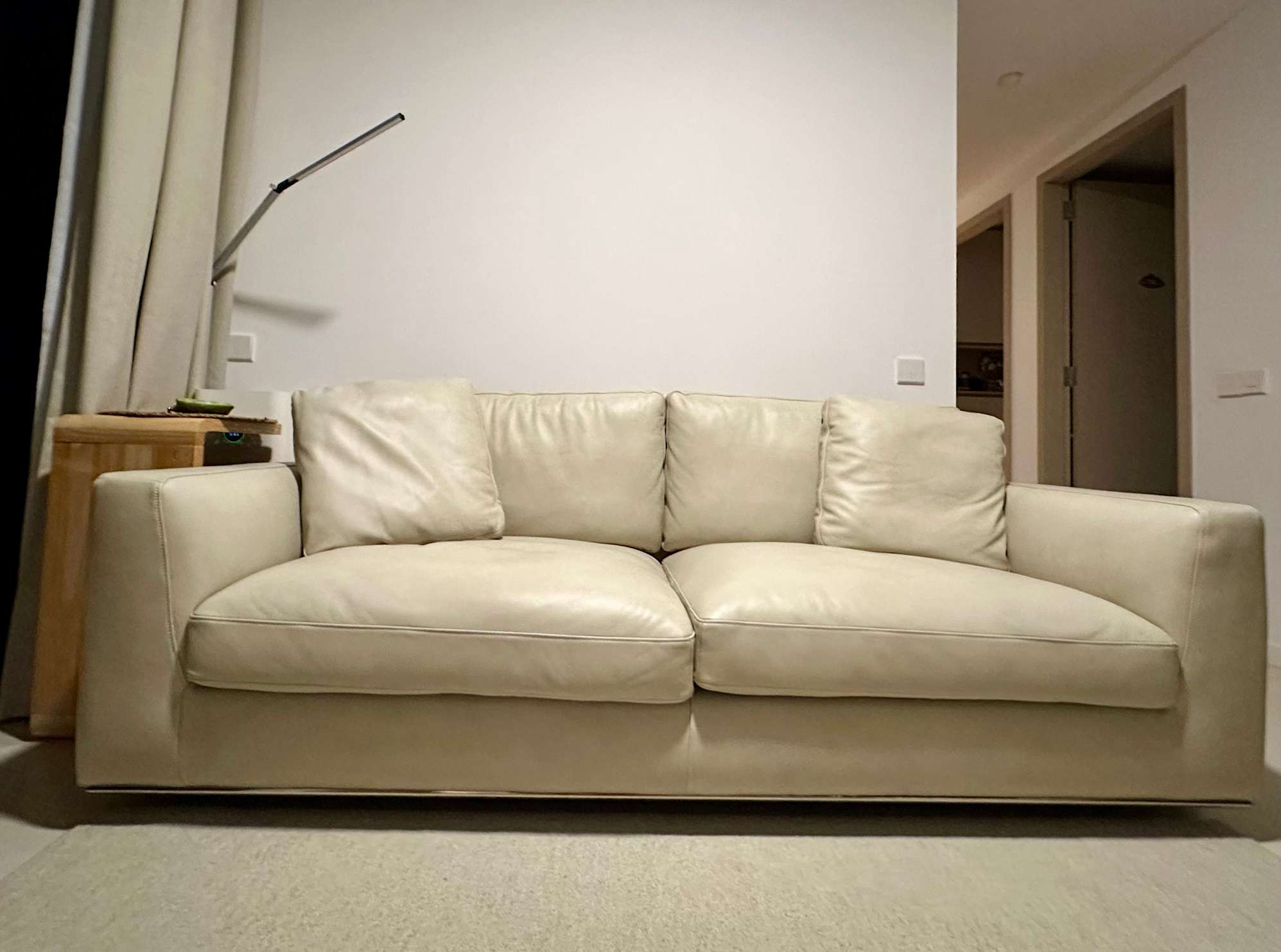Nice looking sofa