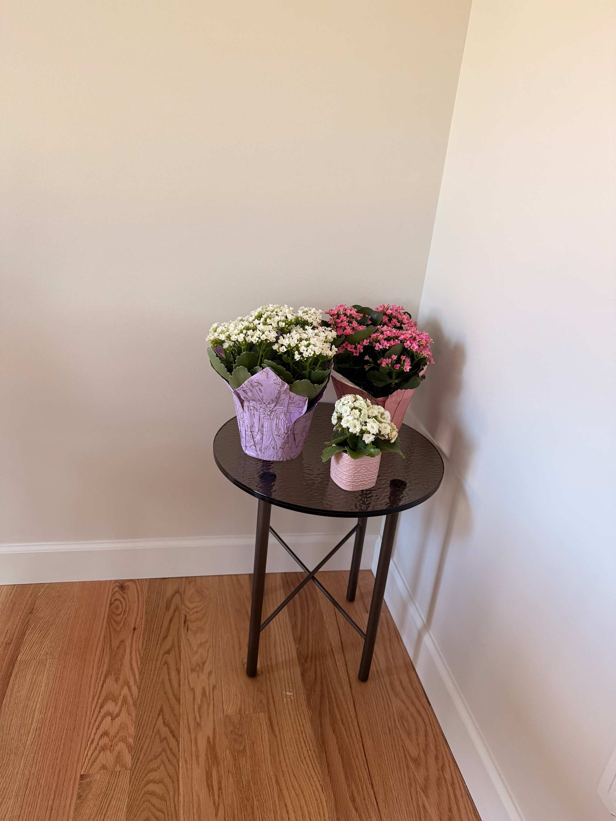 review from The perfect accent piece