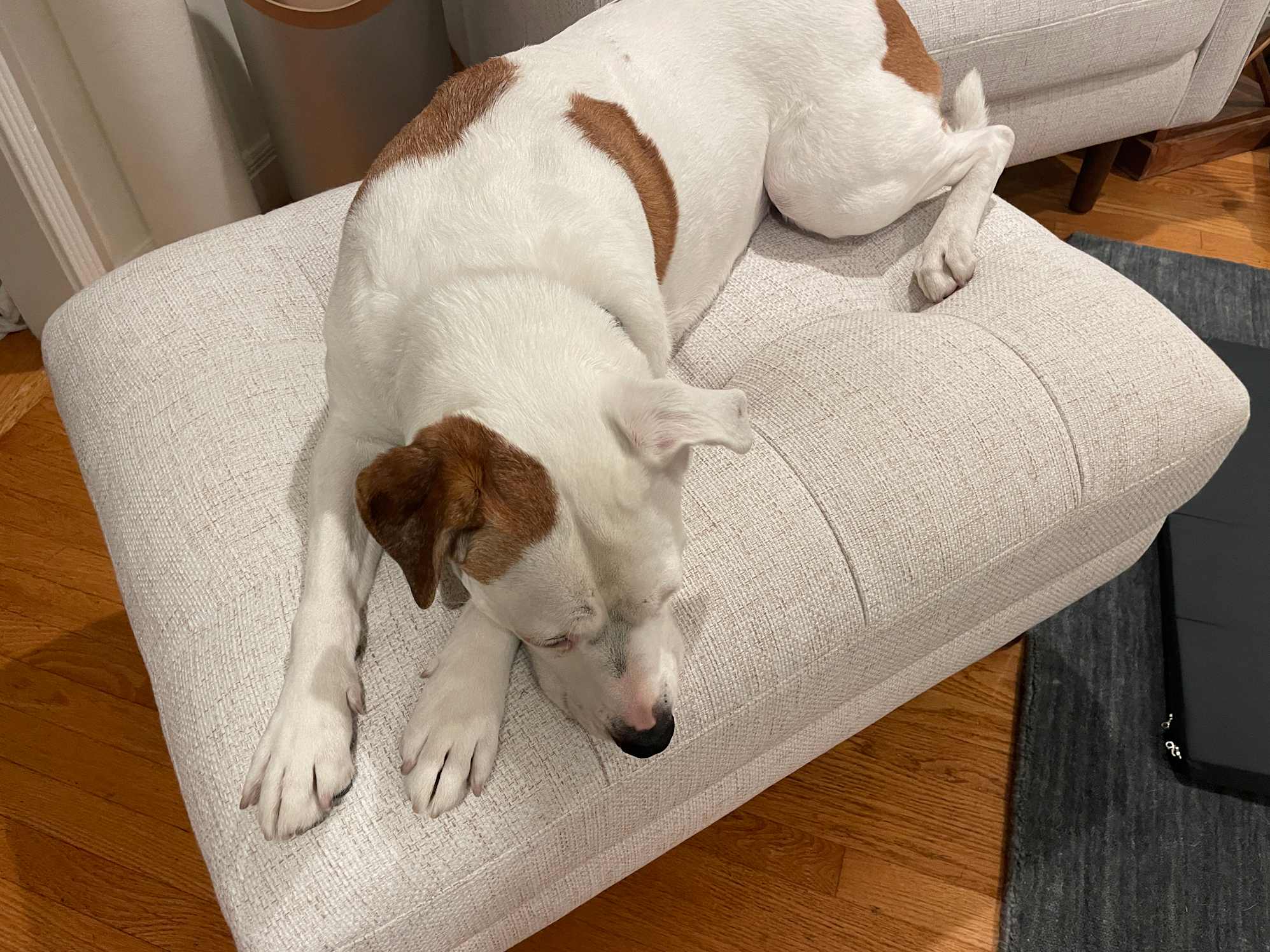 Perfect addition to the Madison chair
